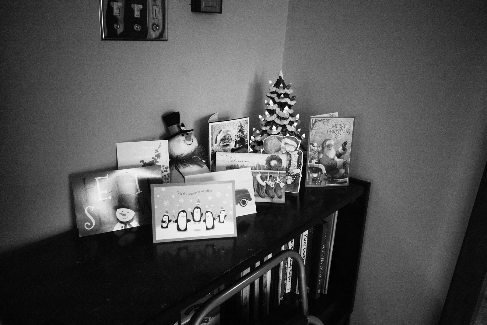 Festive Collection in Monochrome