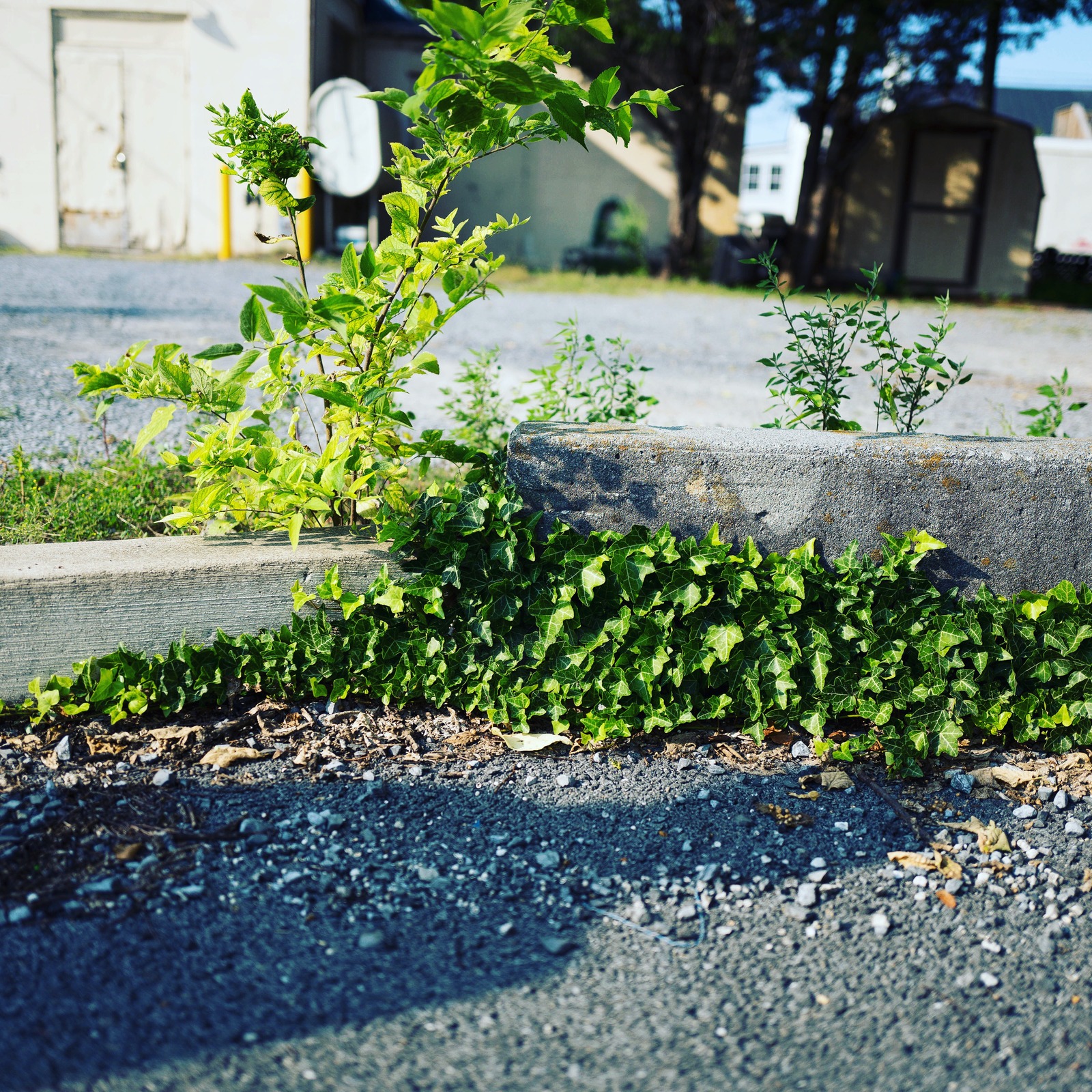 Resilience in Concrete