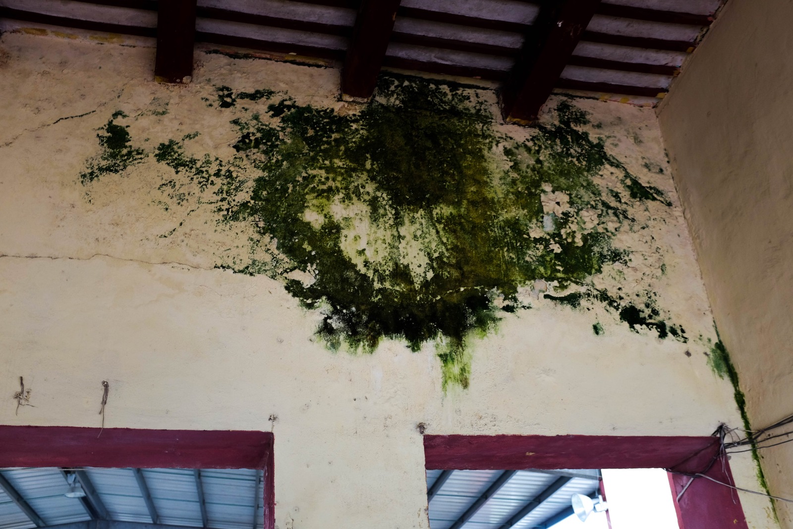 Nature's Quiet Intrusion