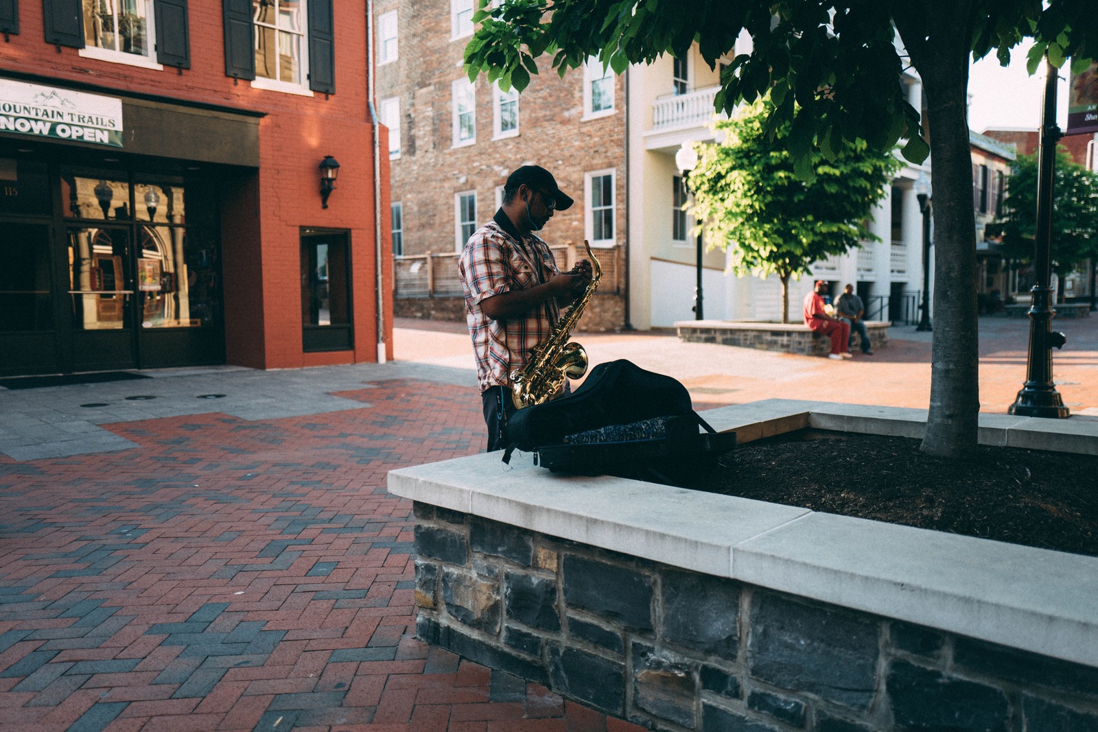 Serenade Under the Sun