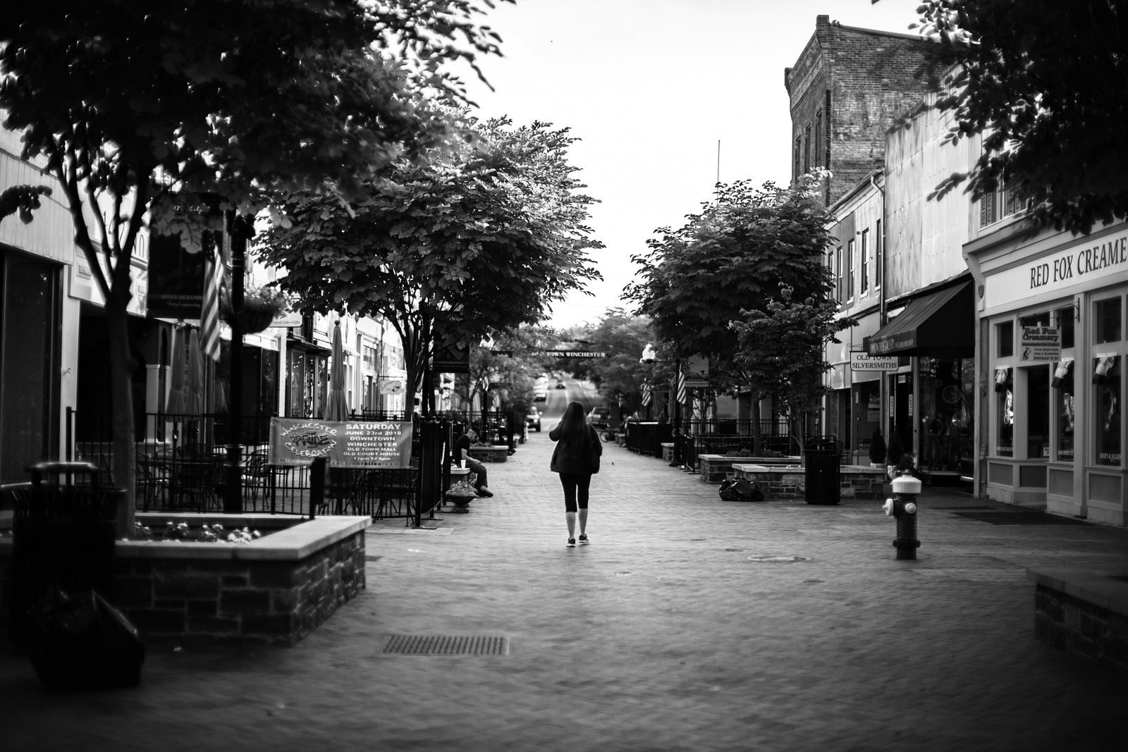 Solitary Stroll in Monochrome