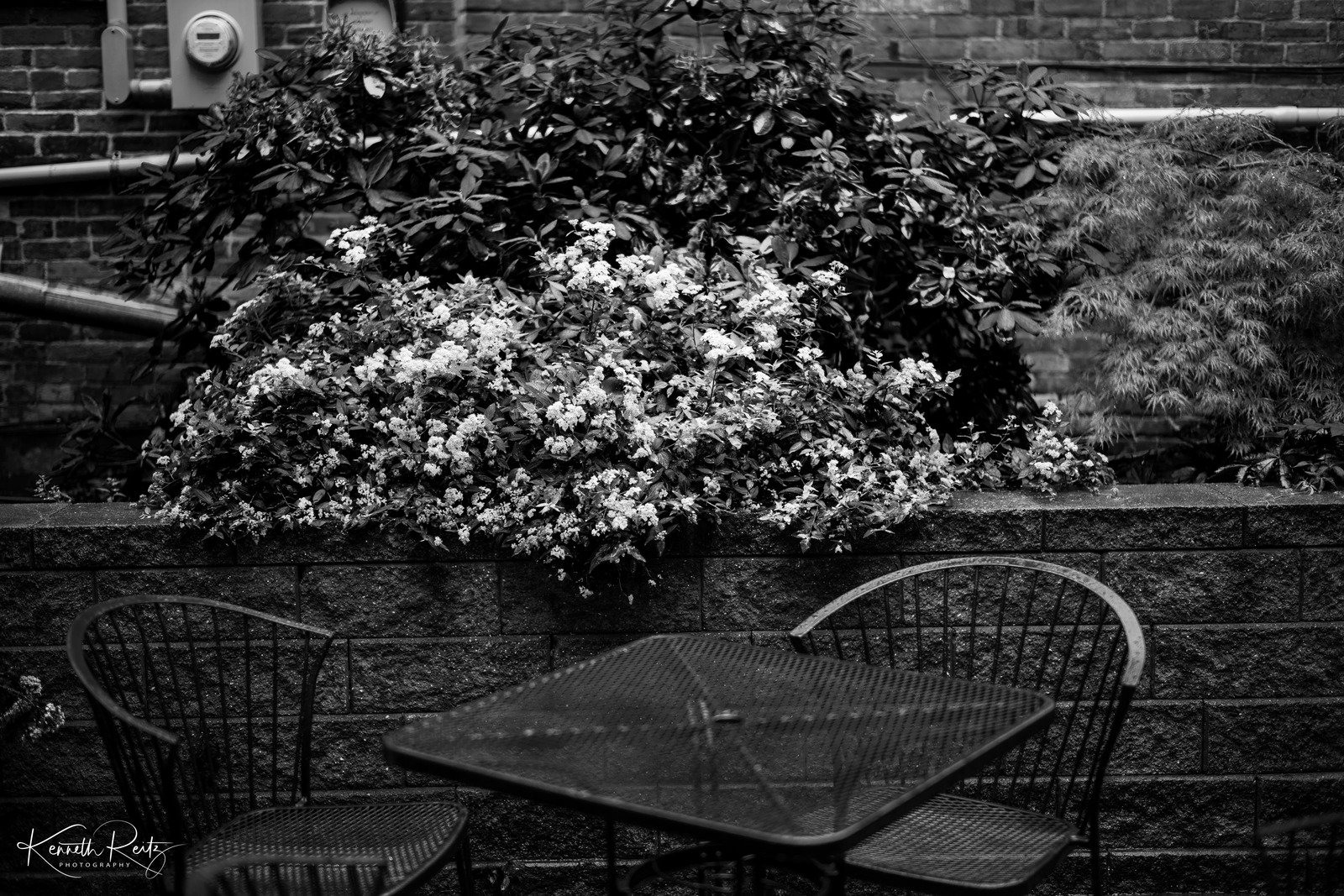 Quiet Garden Retreat