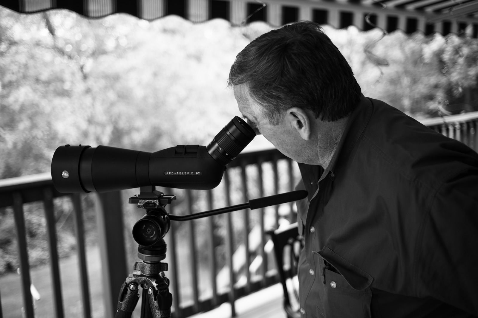 Gazing Through the Lens