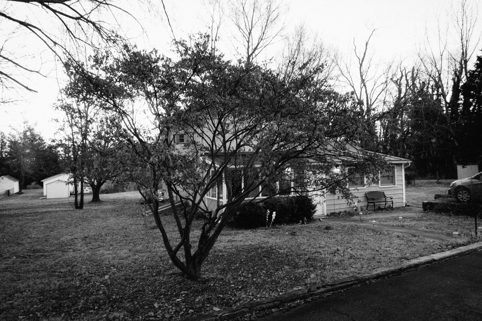 Whispers of a Forgotten Home