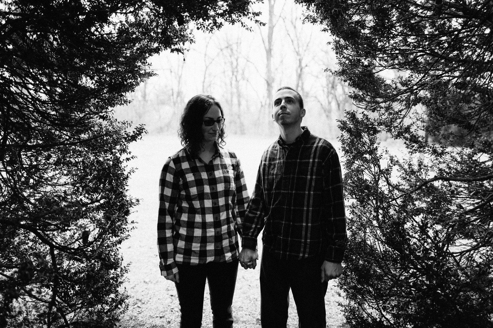 Holding On in the Woods