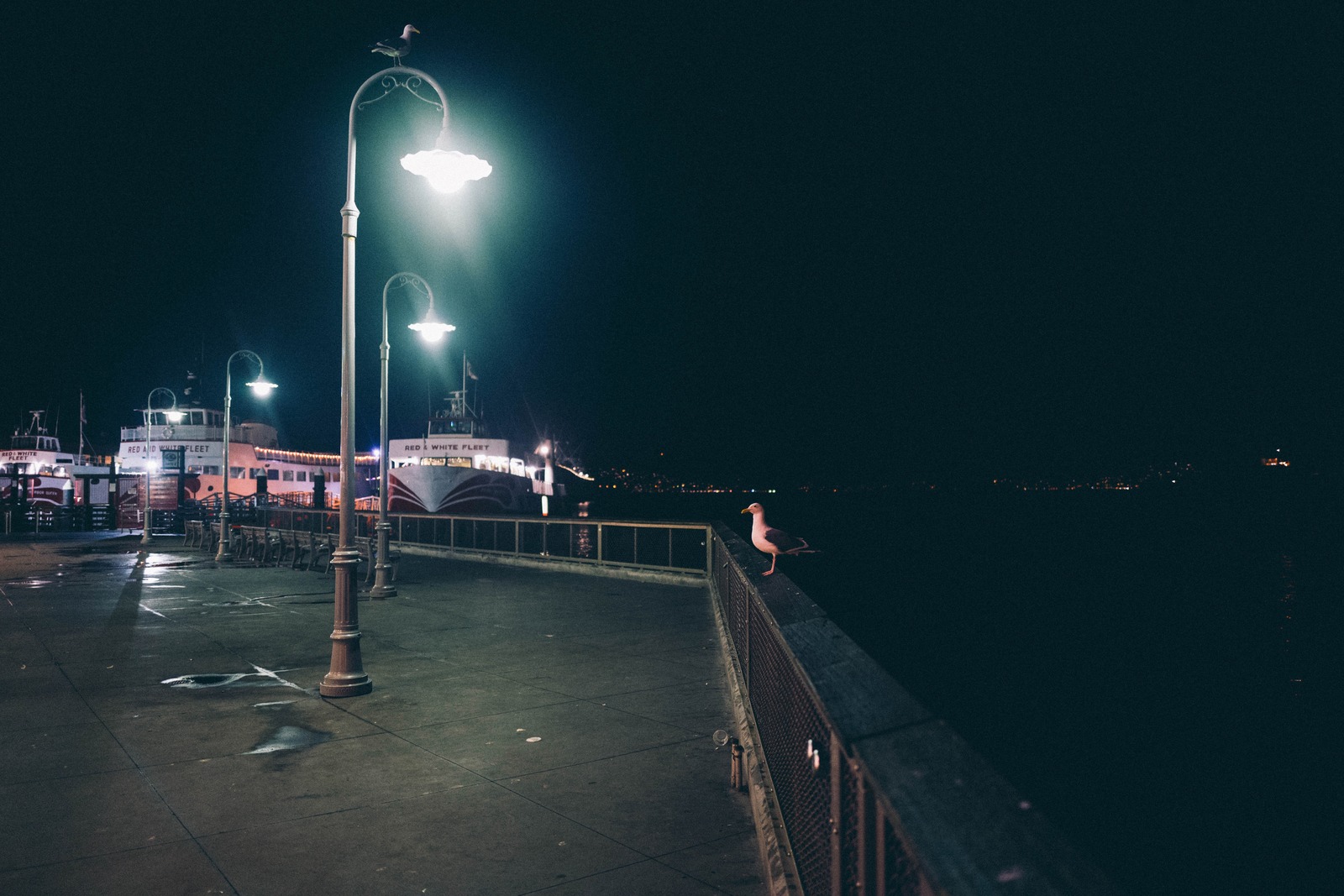 Nighttime Waterside Solitude