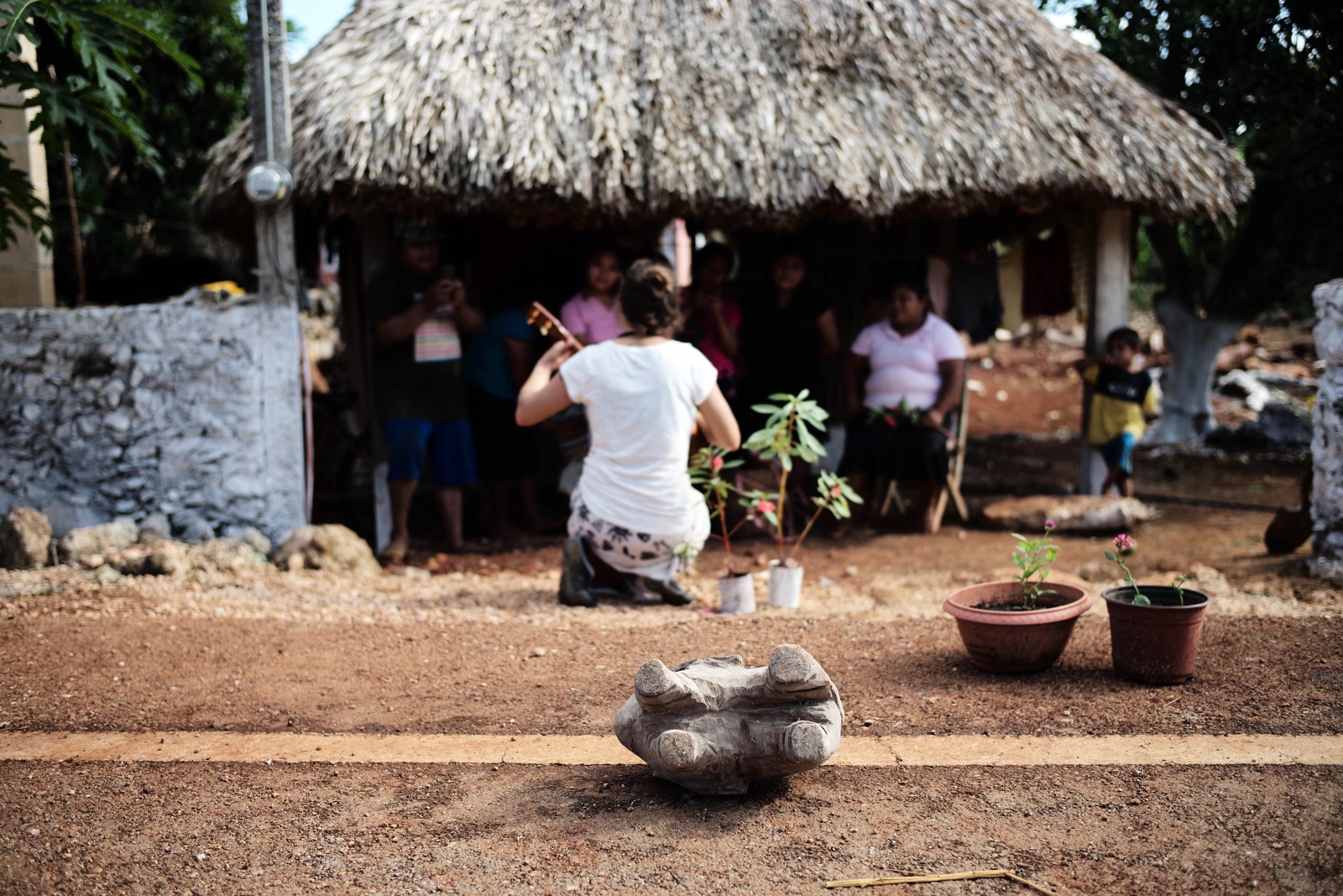 A Gathering in the Garden