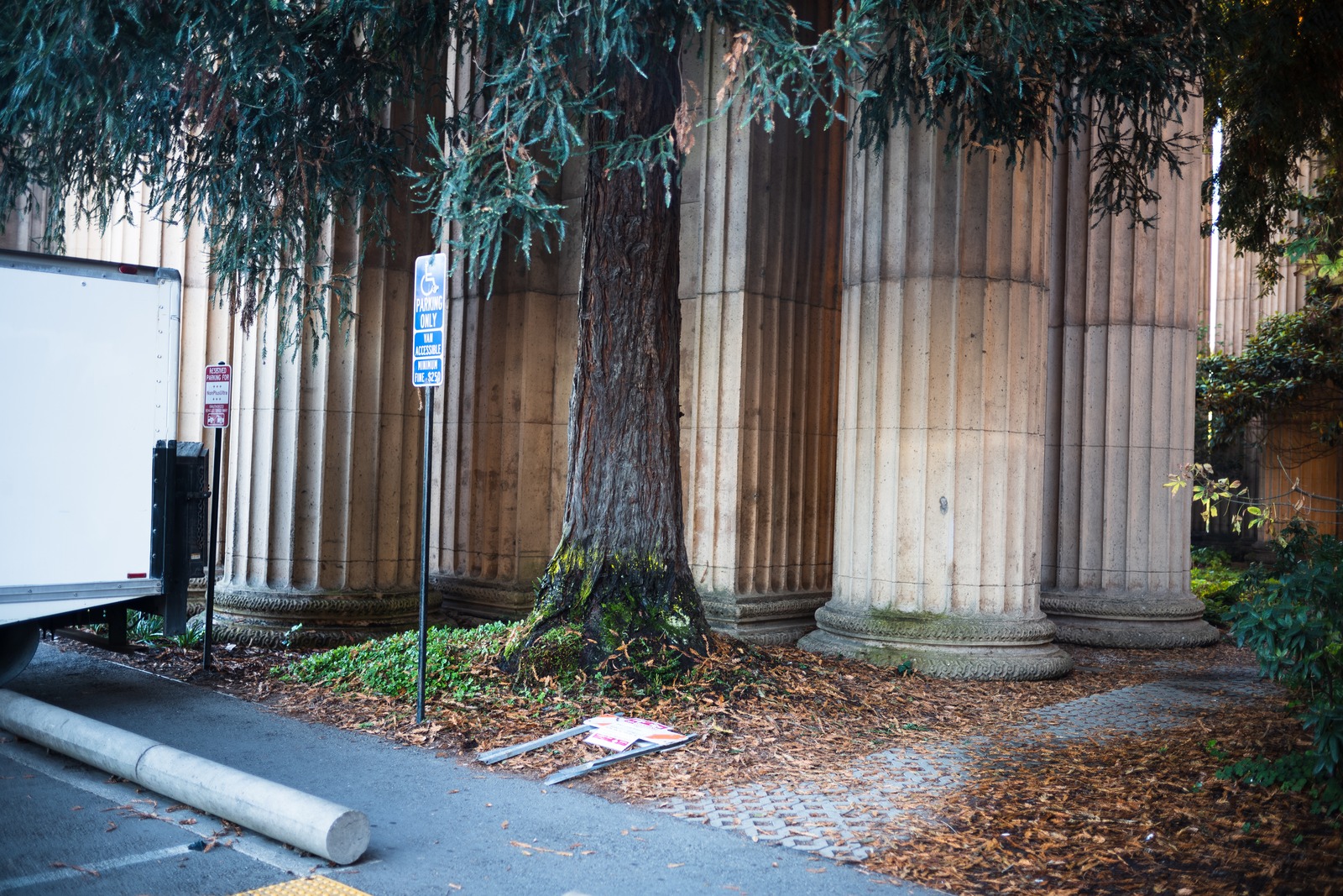 Nature and Architecture Intertwined