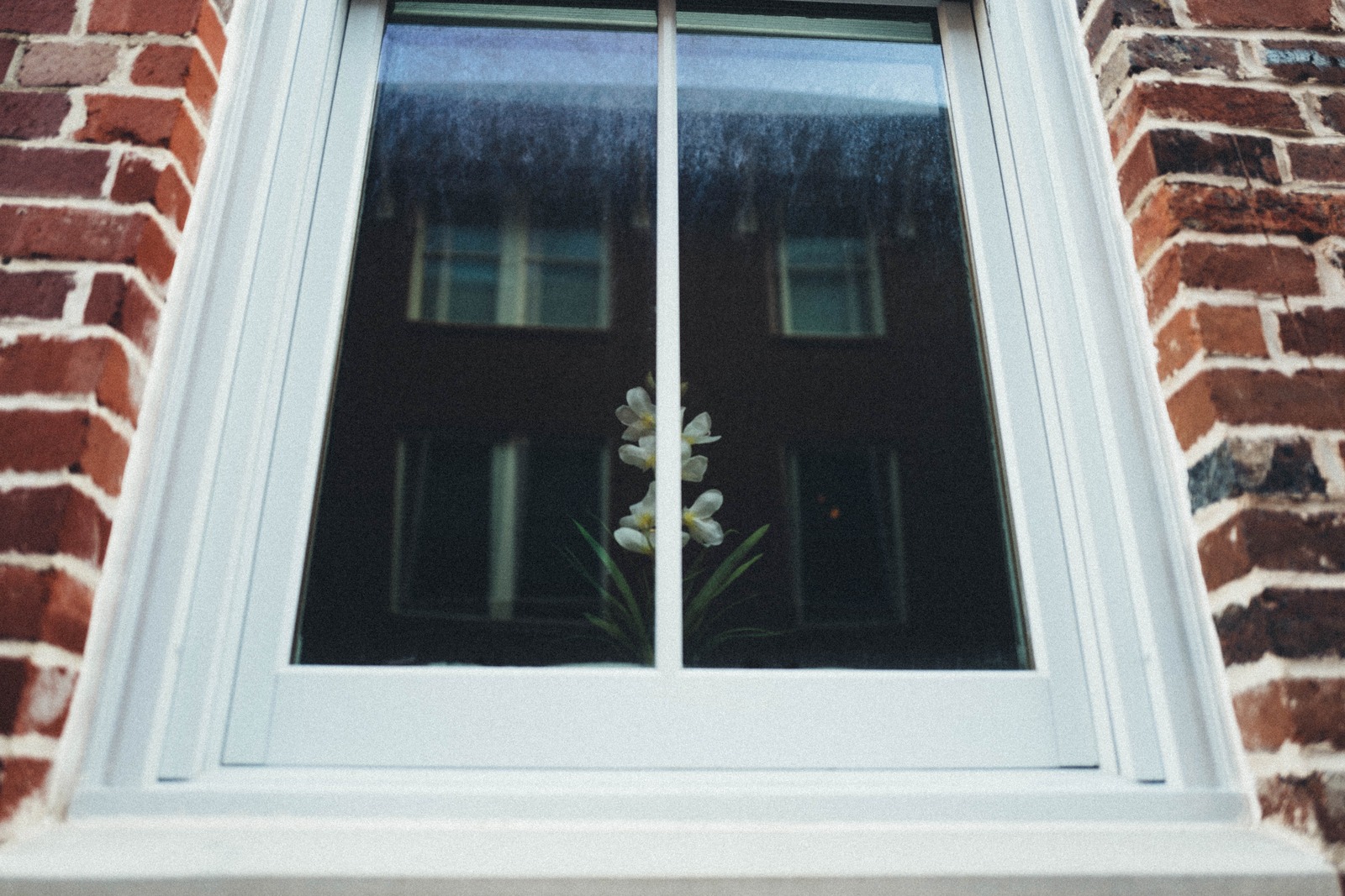 Reflections of Solitude