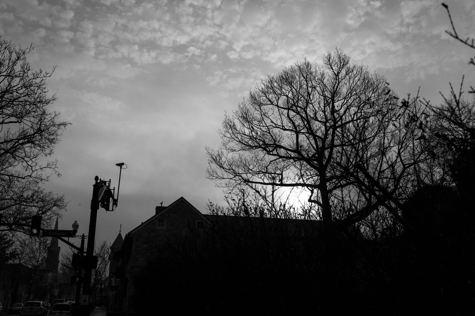 Silhouetted Serenity