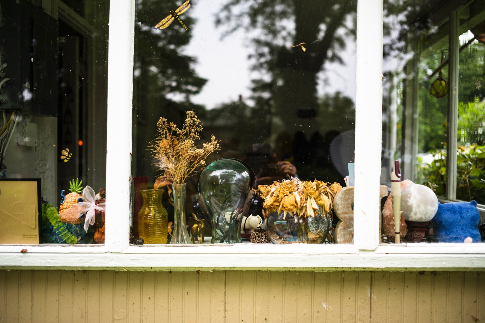 Window of Whimsy