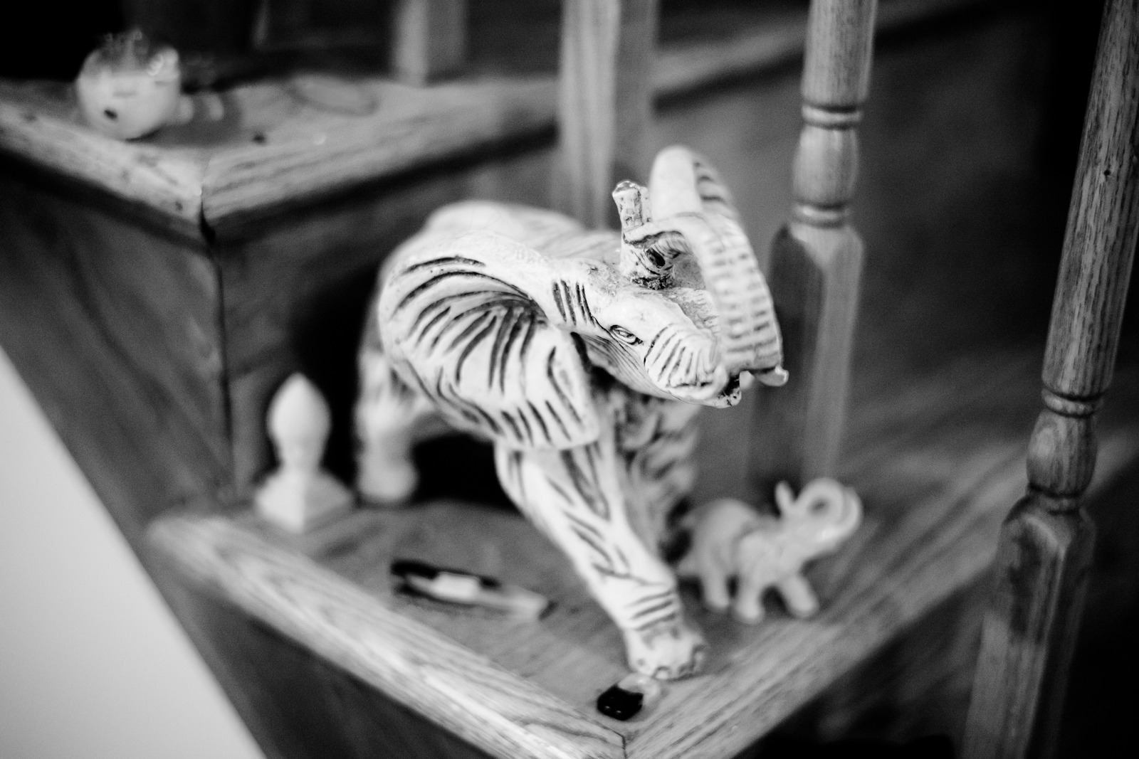 Silent Guardians of the Staircase