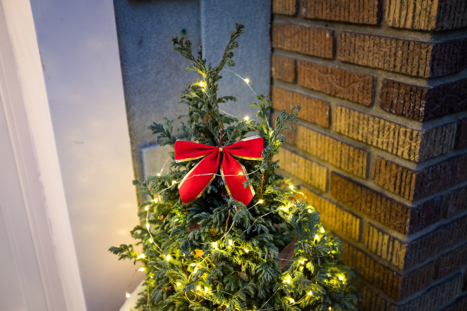 Festive Corner Delight