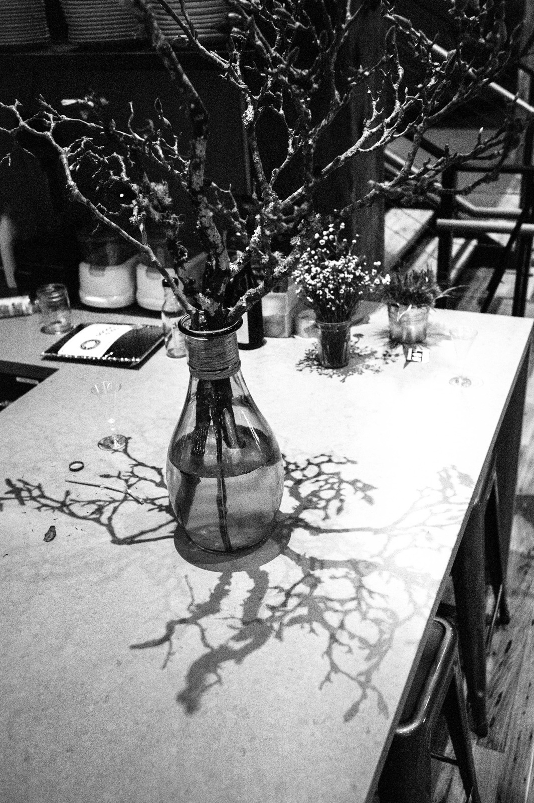 Branches in a Bottle