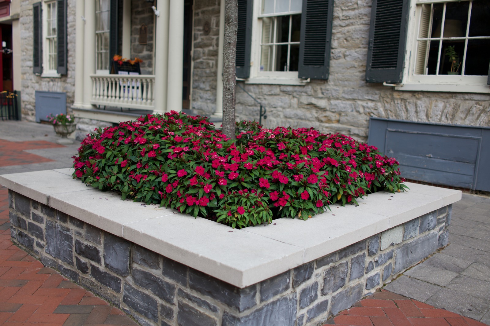 Floral Embrace in the City