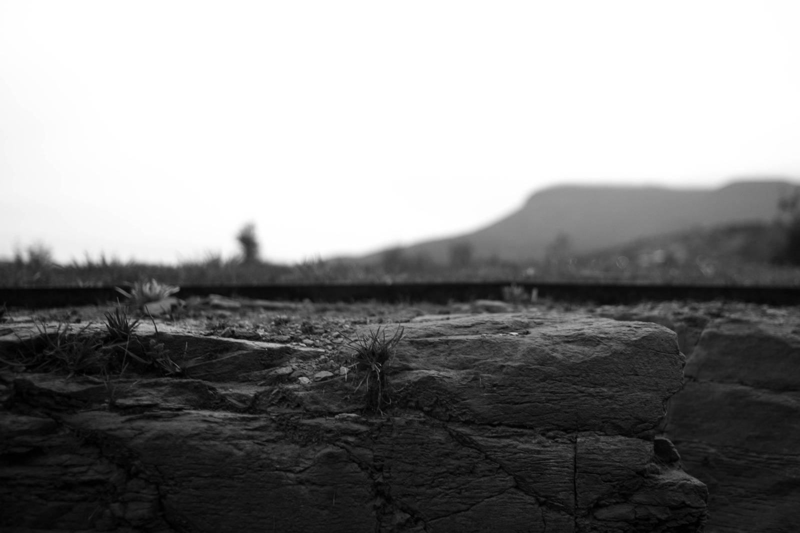 Whispers of the Past