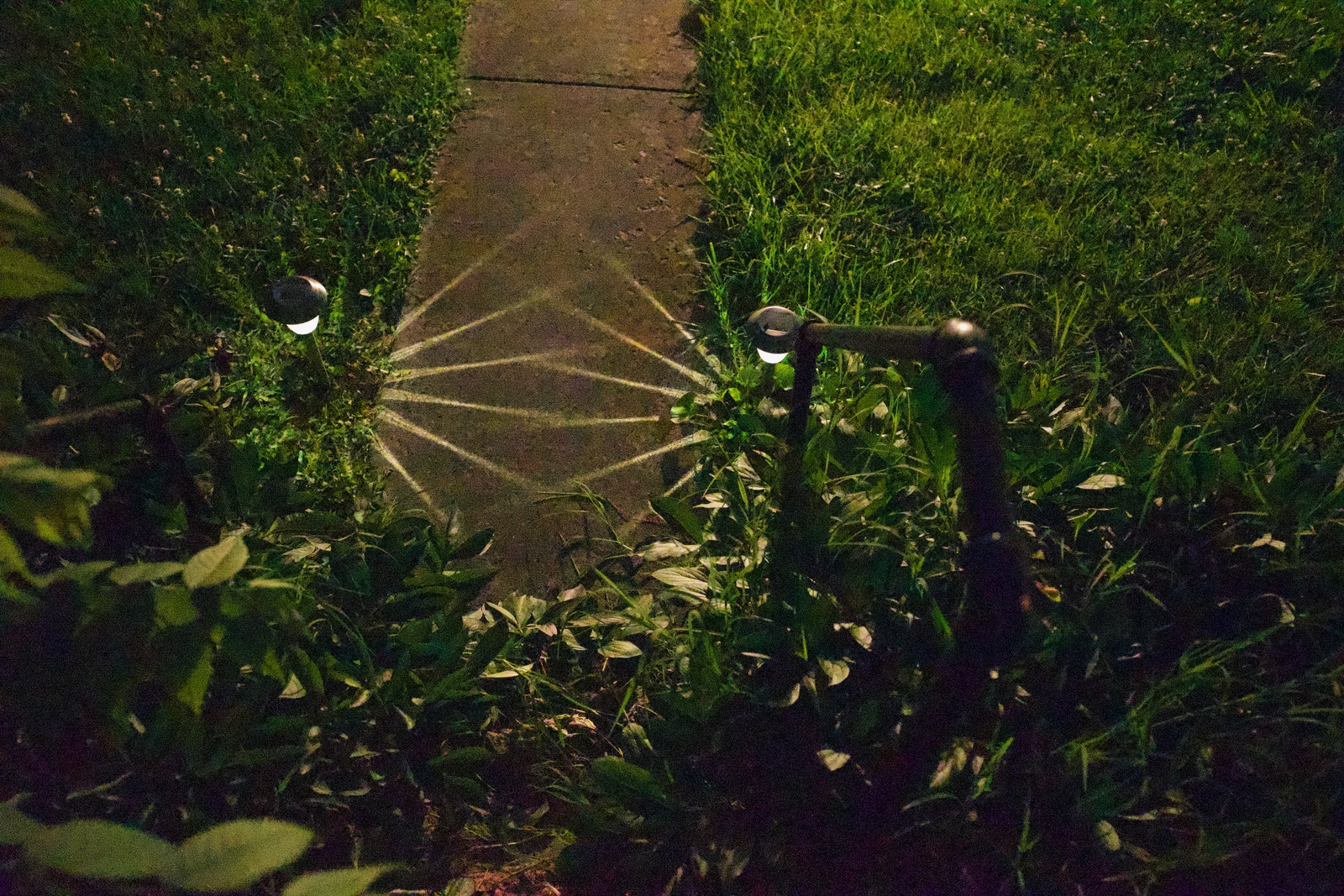 Illuminated Pathway at Night