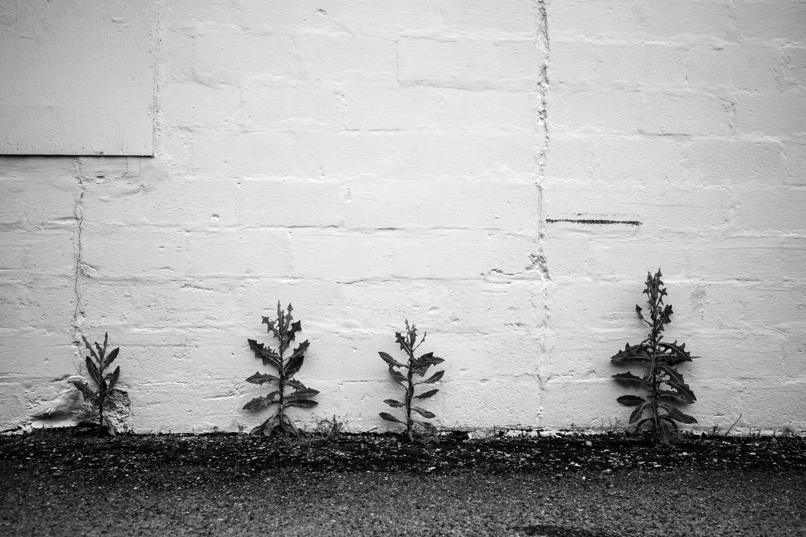 Resilience Against the Wall