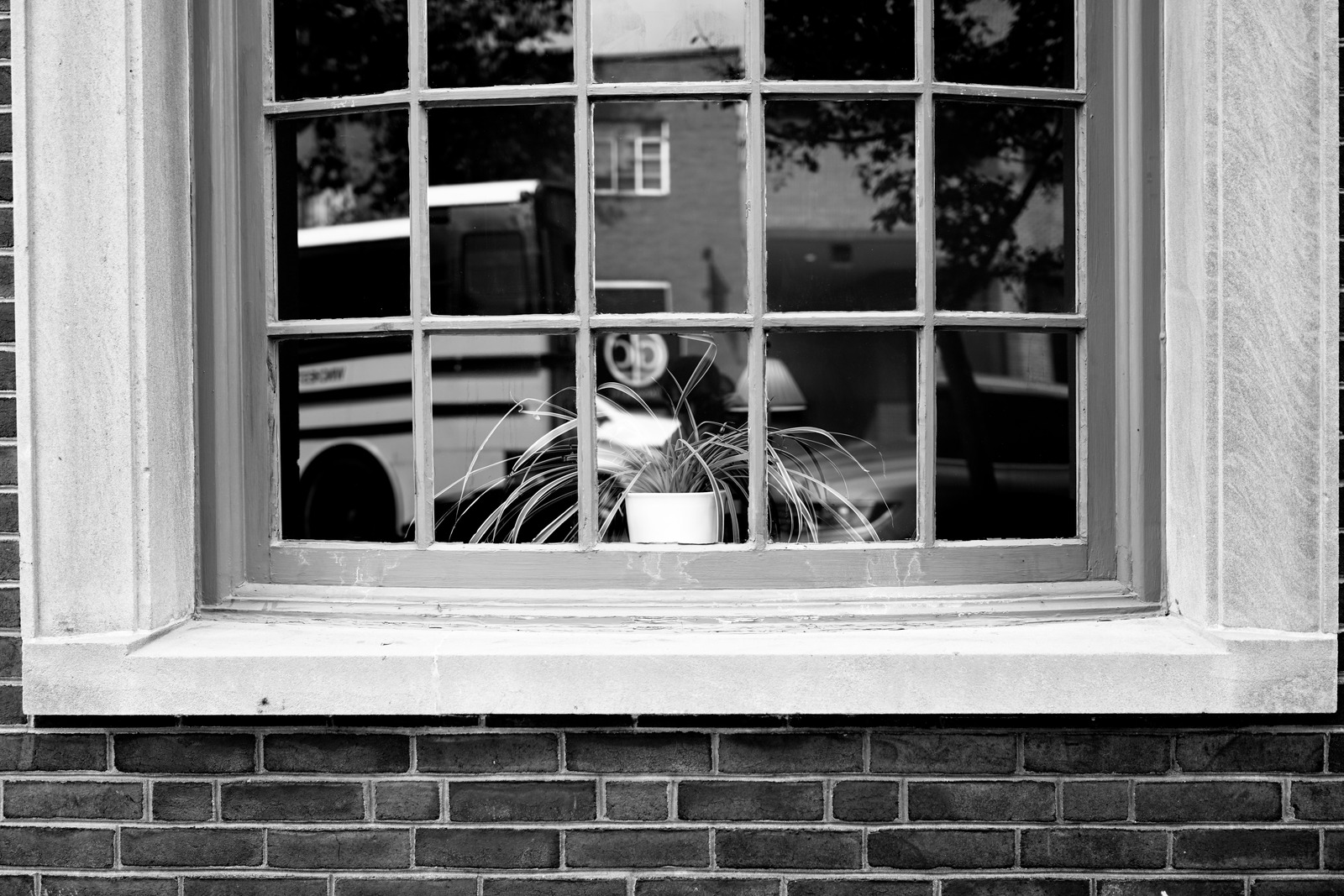 Urban Serenity in Black and White