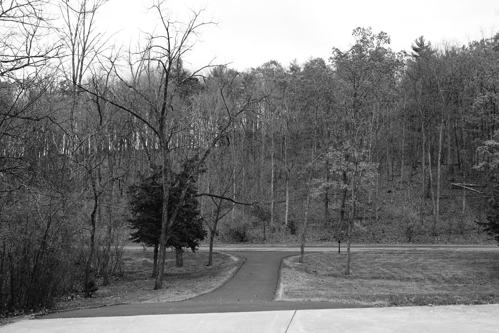 Quiet Pathway in Autumn