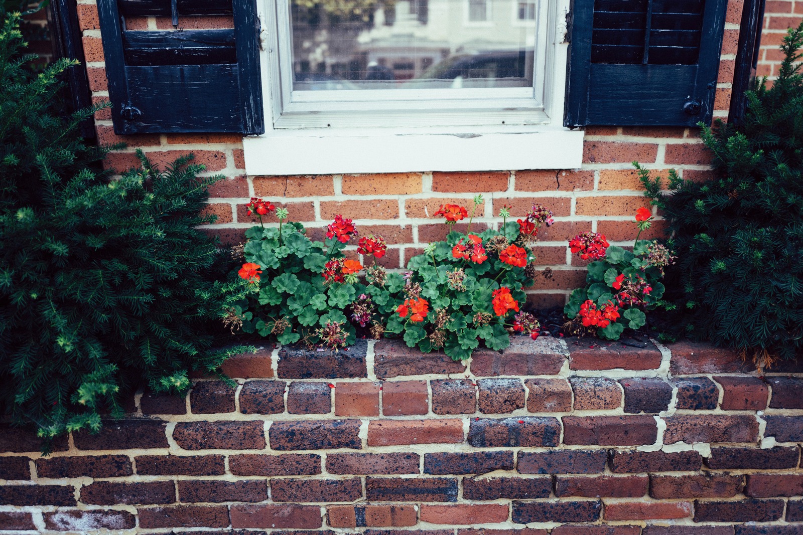 Charming Brick Garden