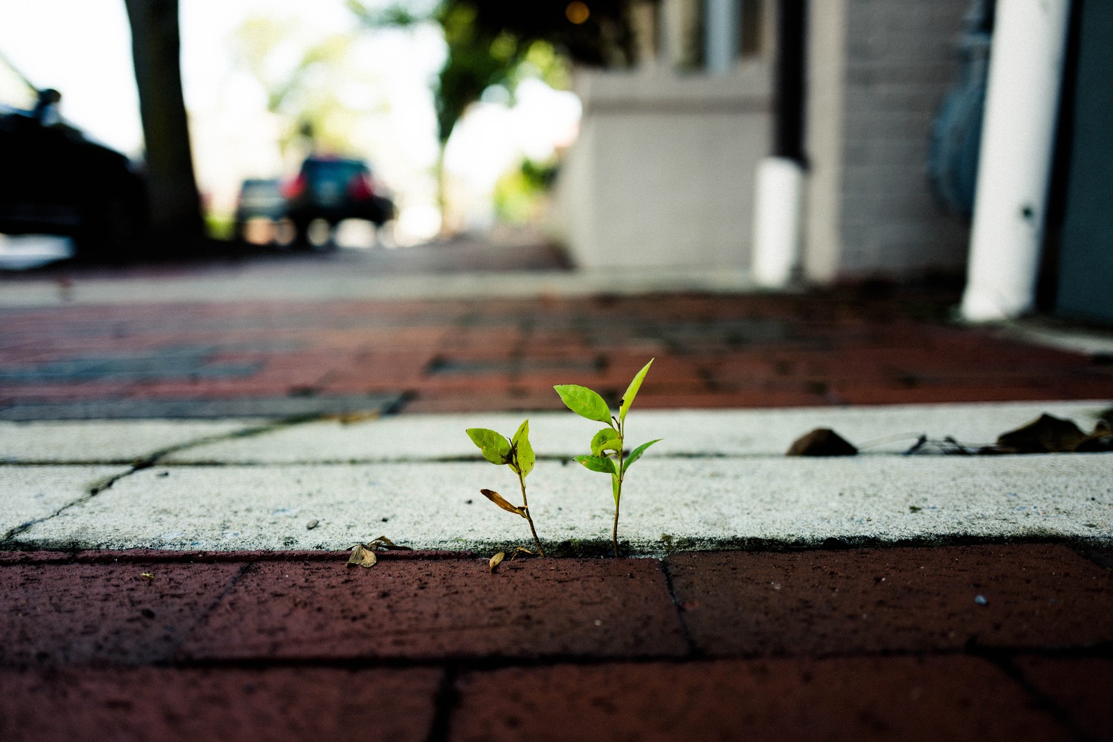 Resilience in the Concrete