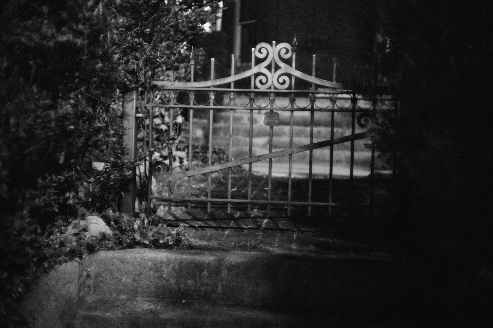 Whispers of a Forgotten Gate