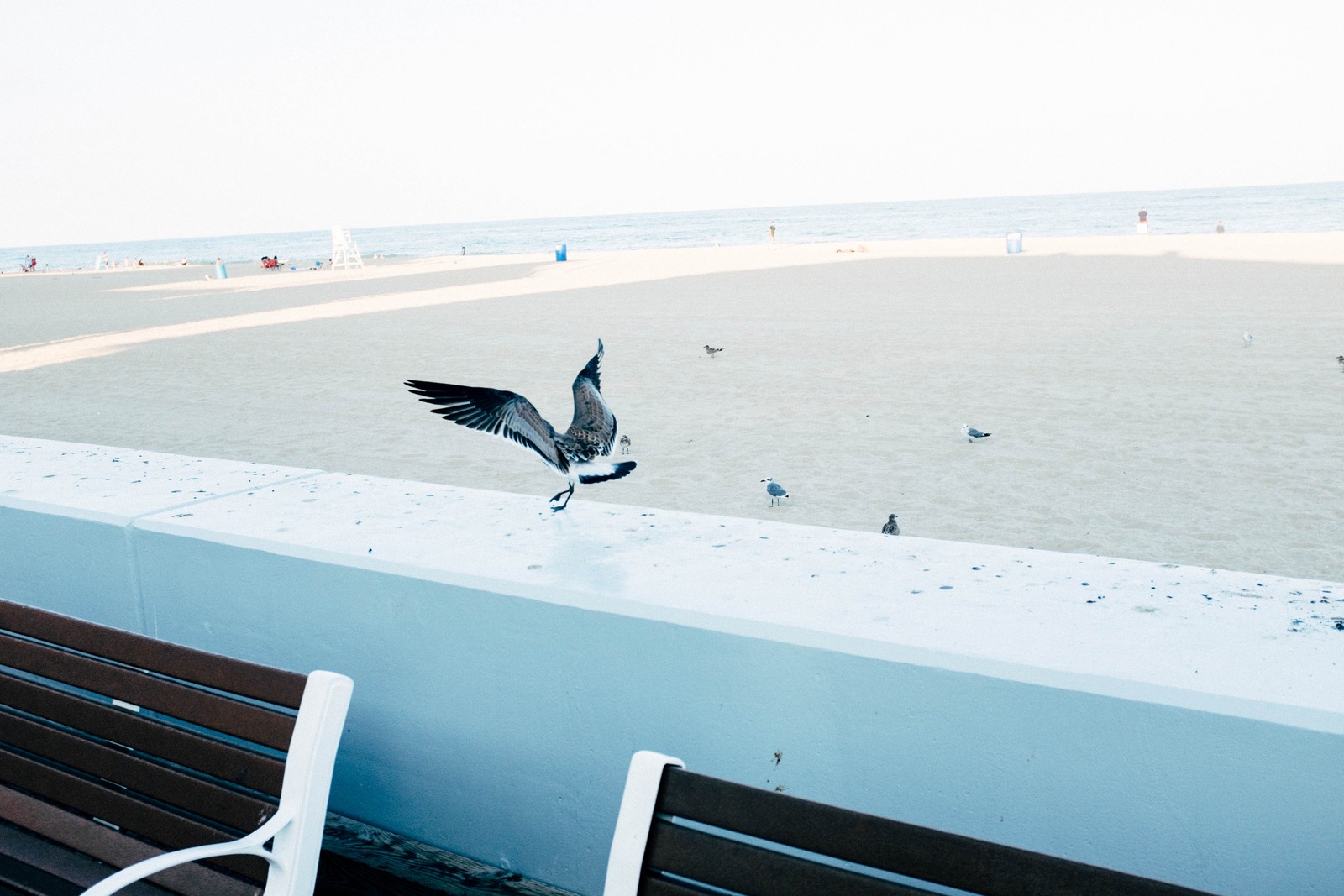 Serene Shoreline Dance