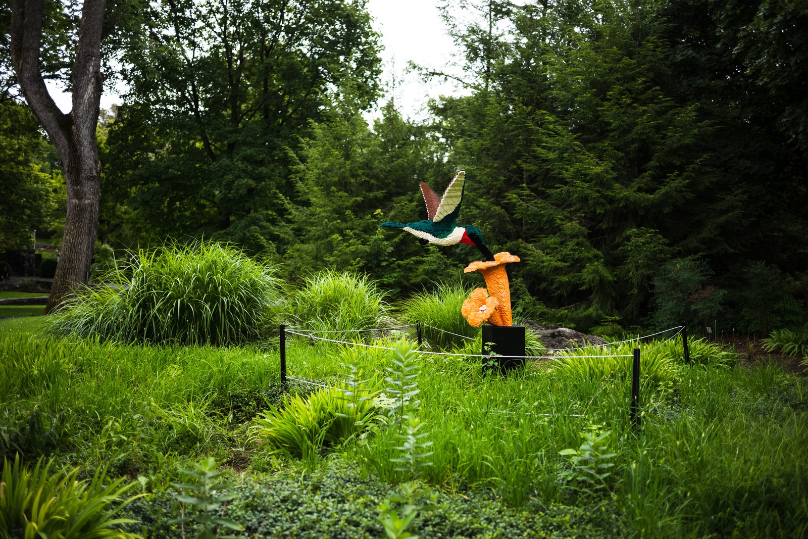 Whimsy in the Garden