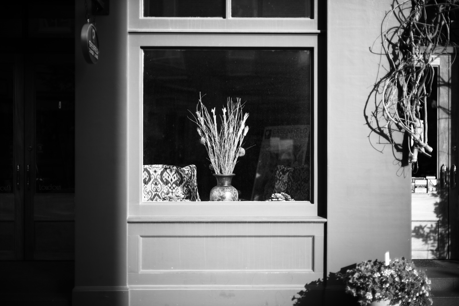 Solitude in a Window