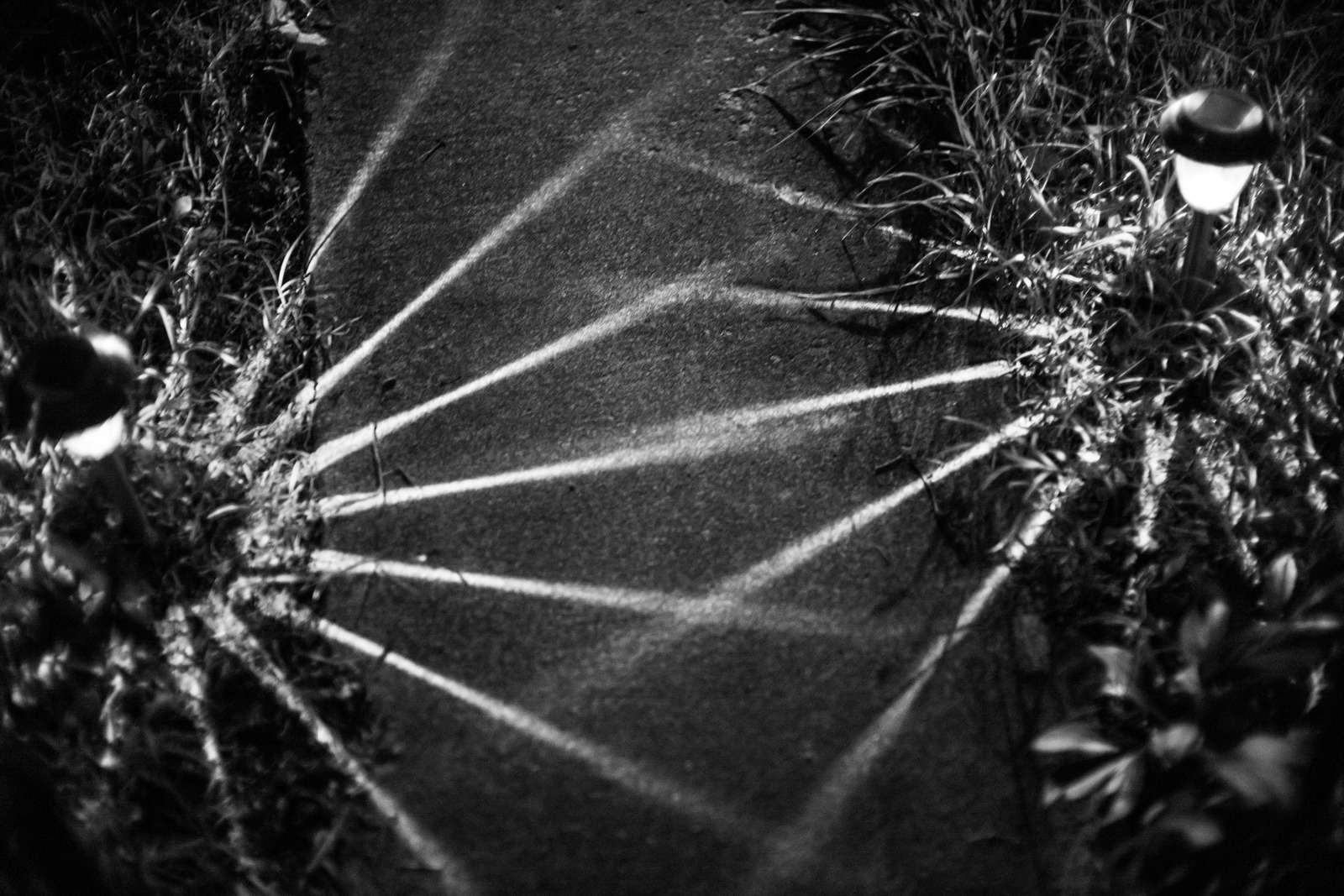 Illuminated Pathway Shadows