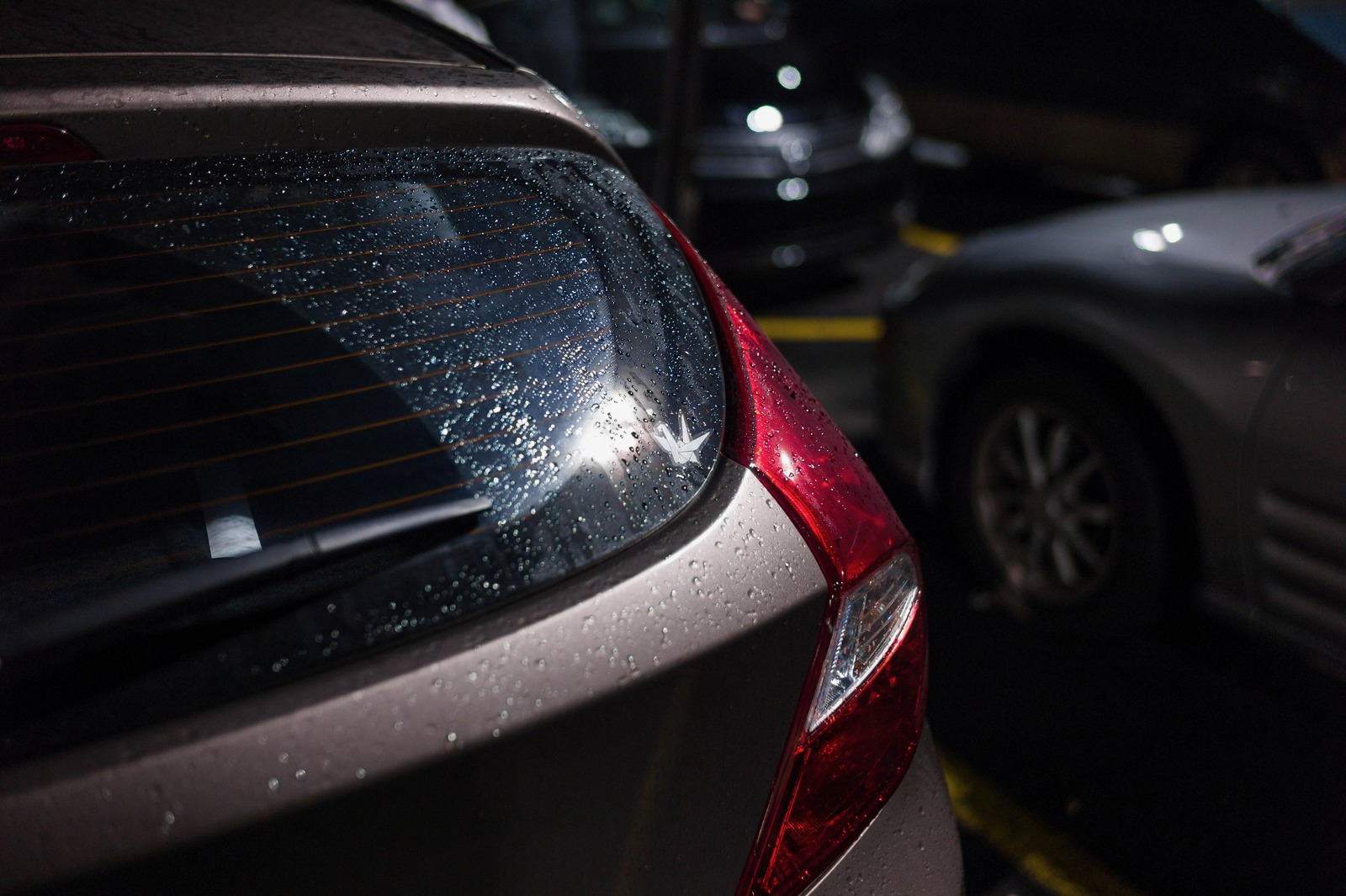 Rain-Kissed Quietude