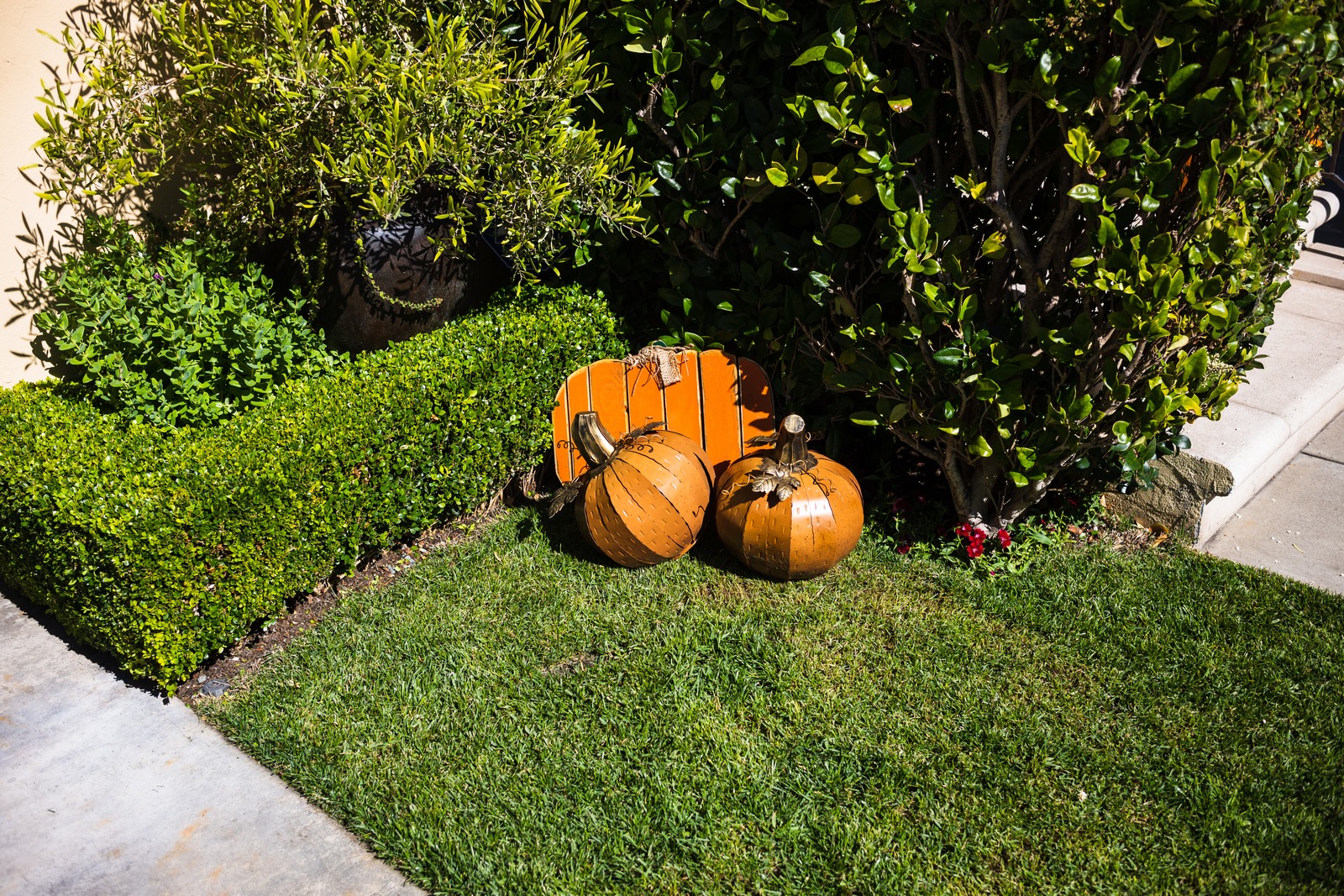 Whimsical Autumn Corner