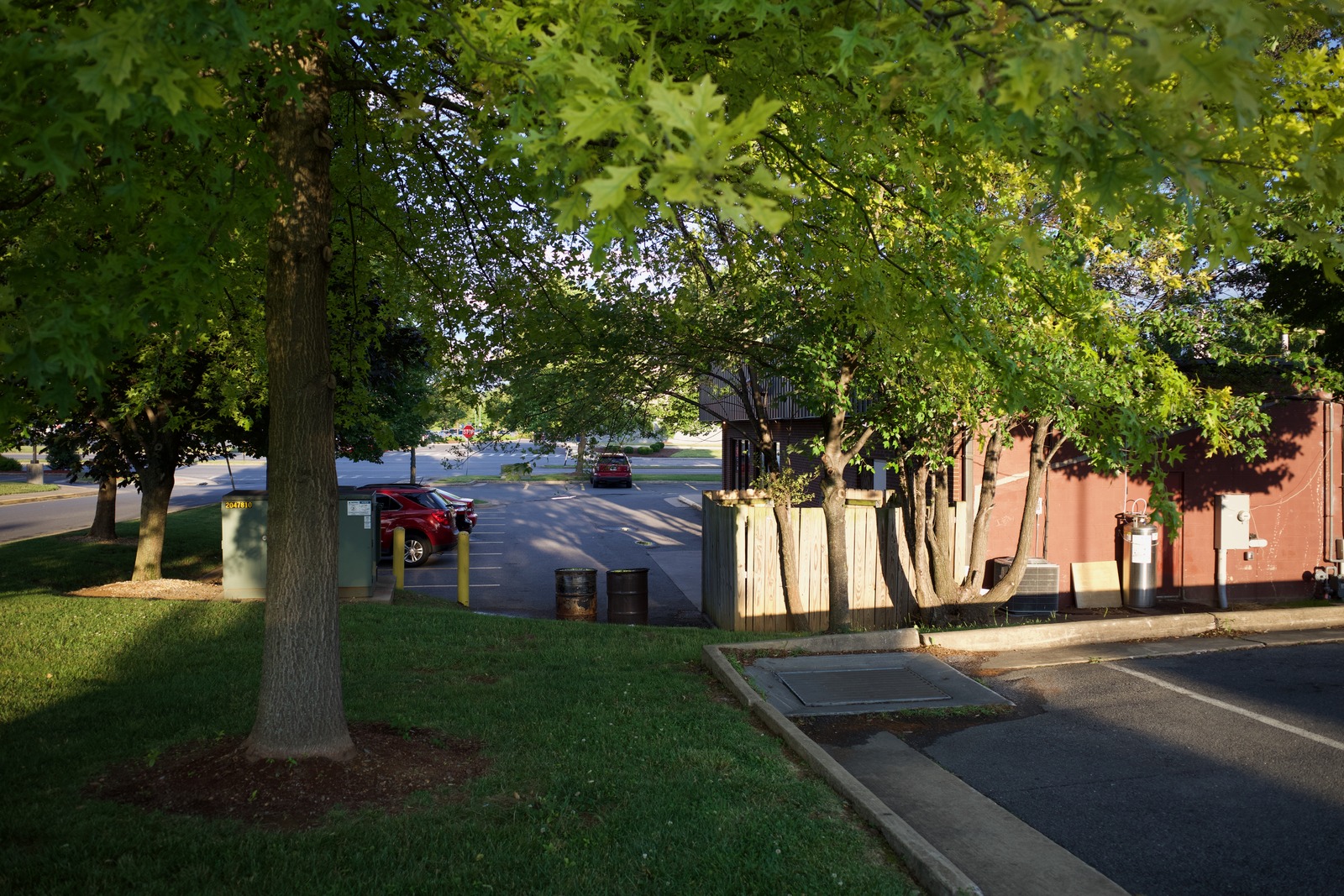 Subtle Urban Serenity