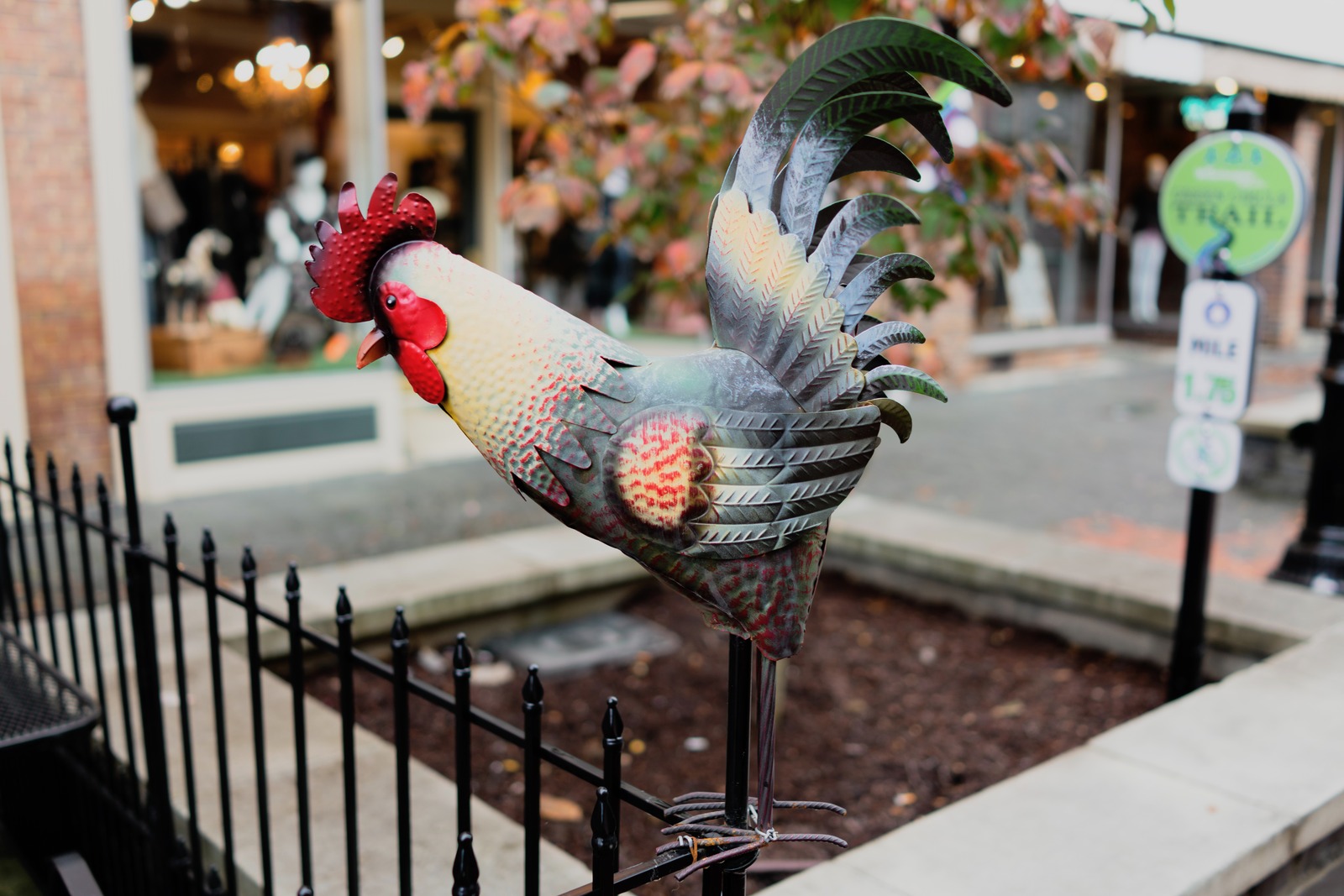 Bright Iron Rooster Display