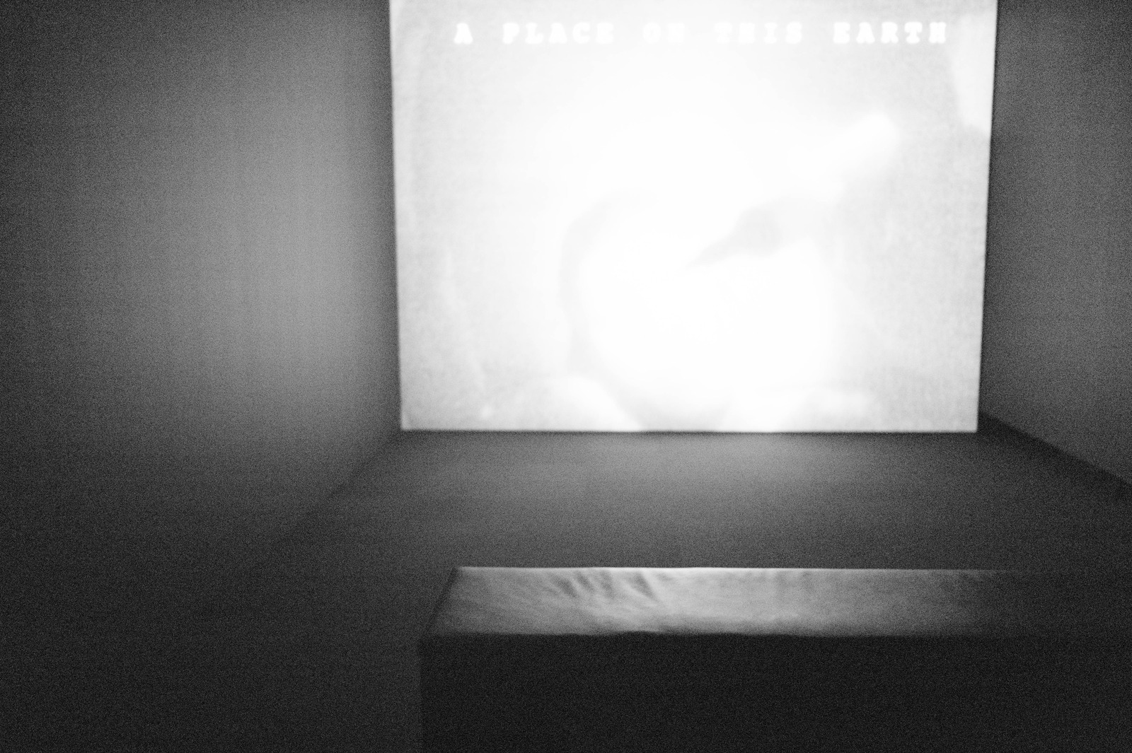 Dimensional Reflections