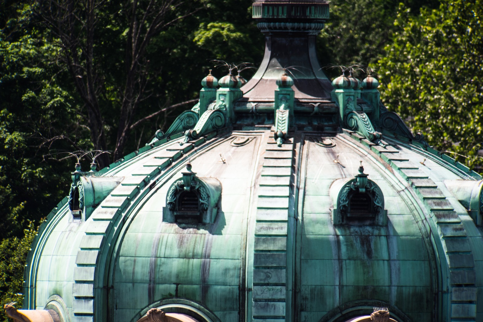 Verdant Dome Above