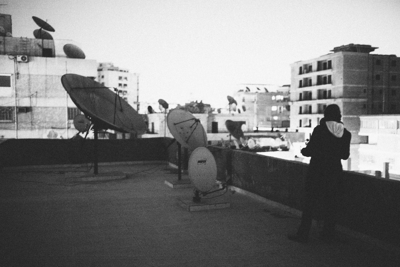 Silhouetted Reflections