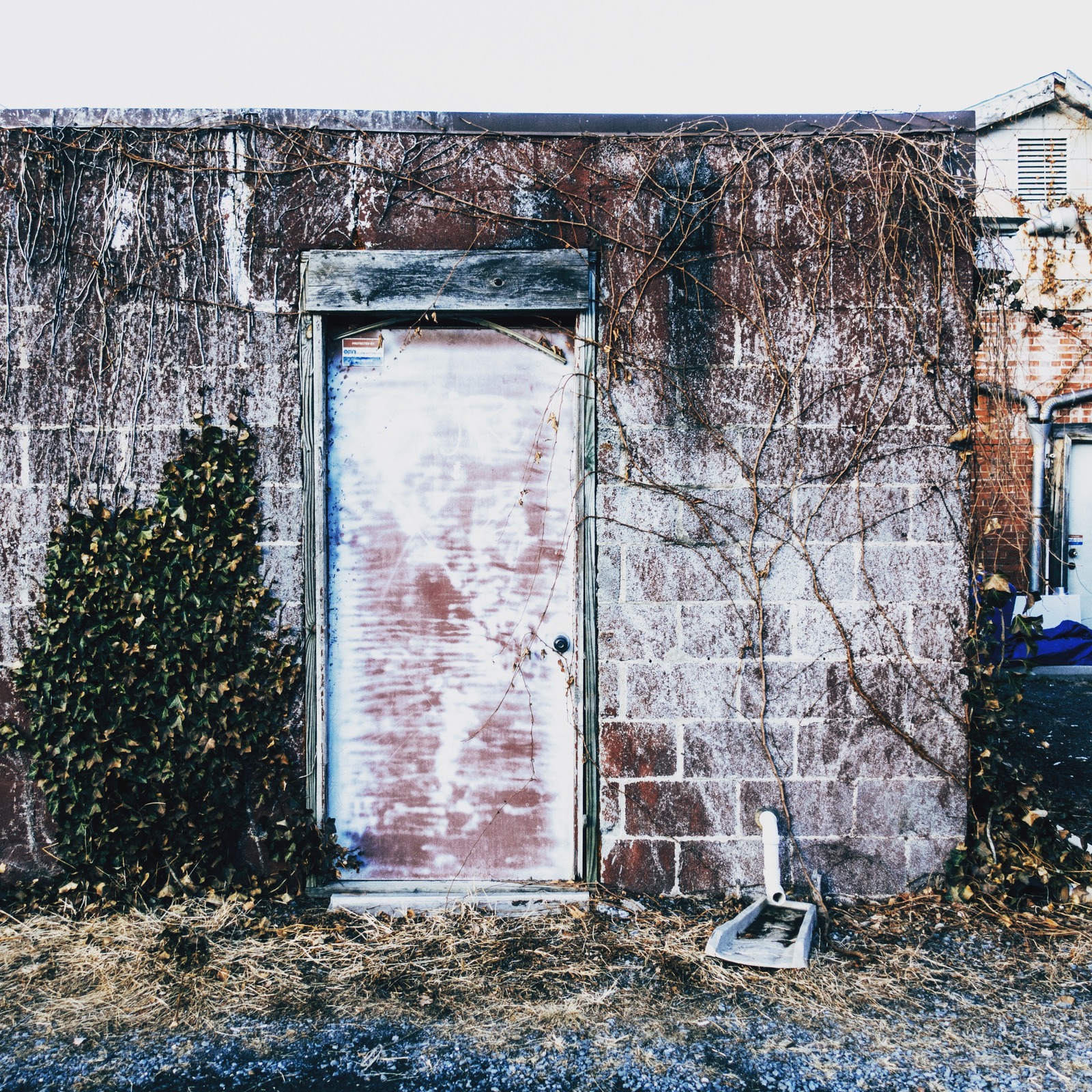 Whispers of Abandonment