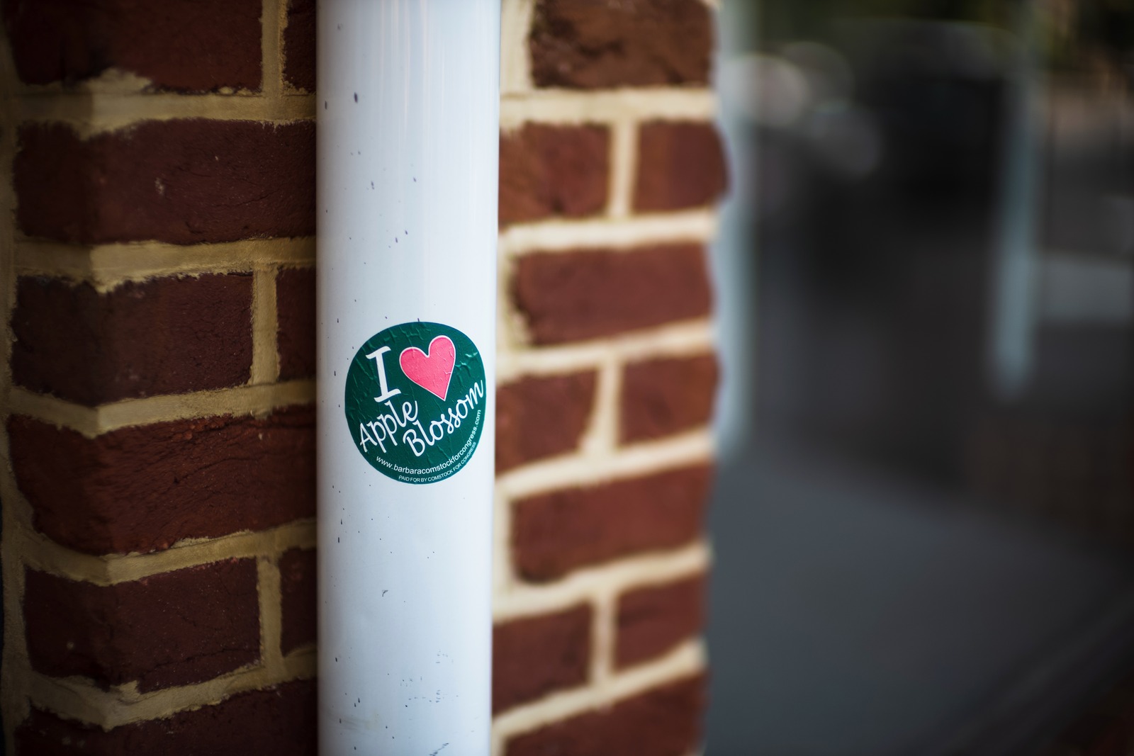 Affectionate Urban Embrace