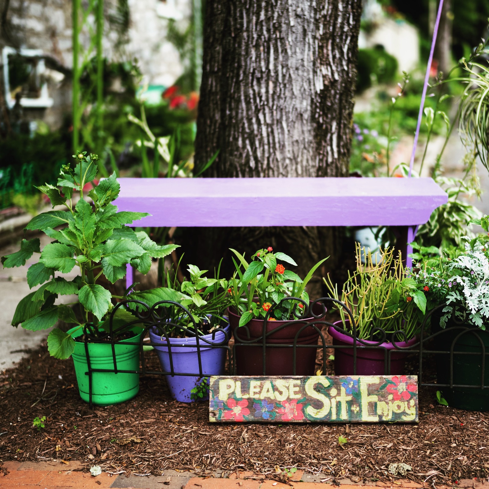 Inviting Garden Retreat