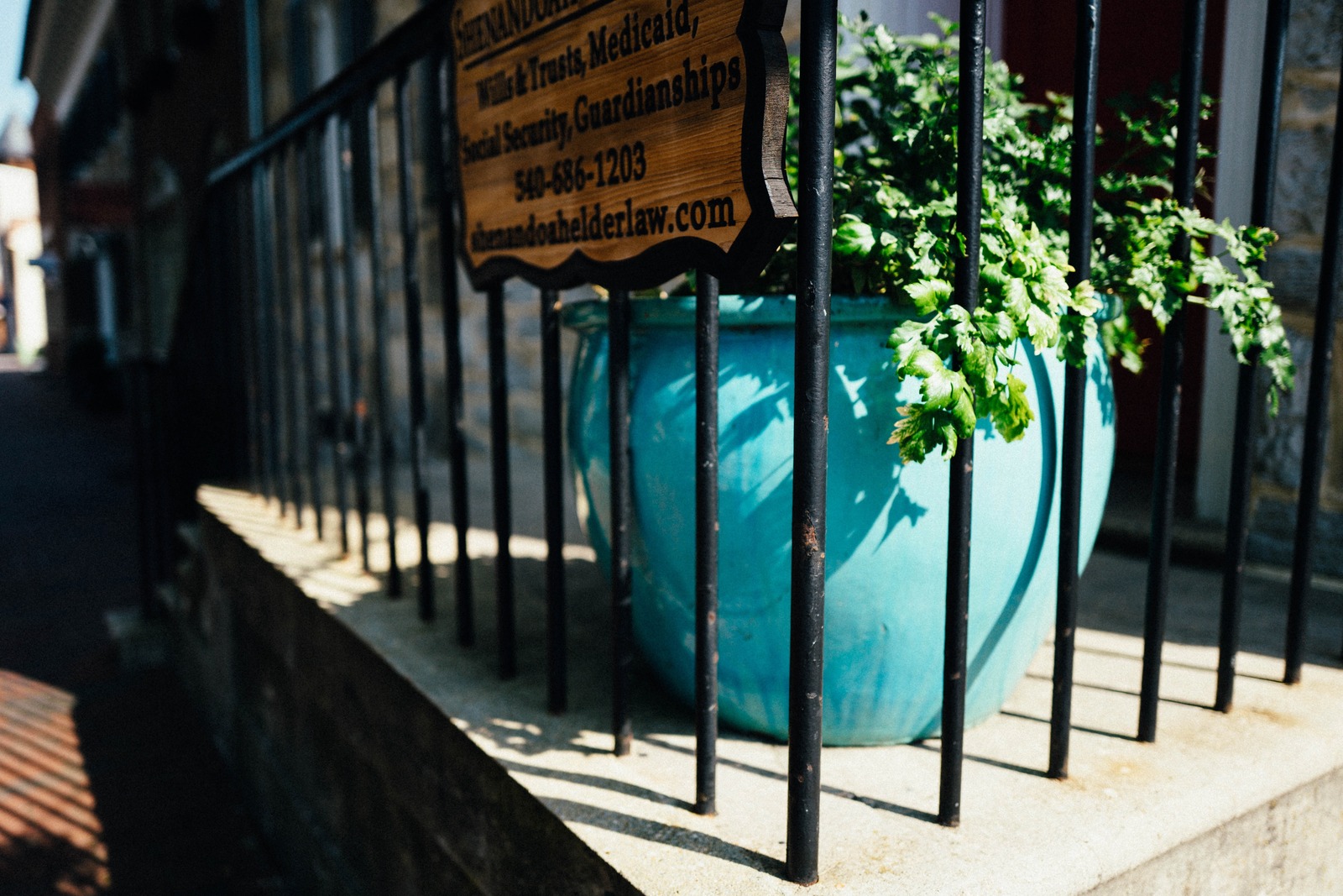 Vibrant Contrast of Urban Life