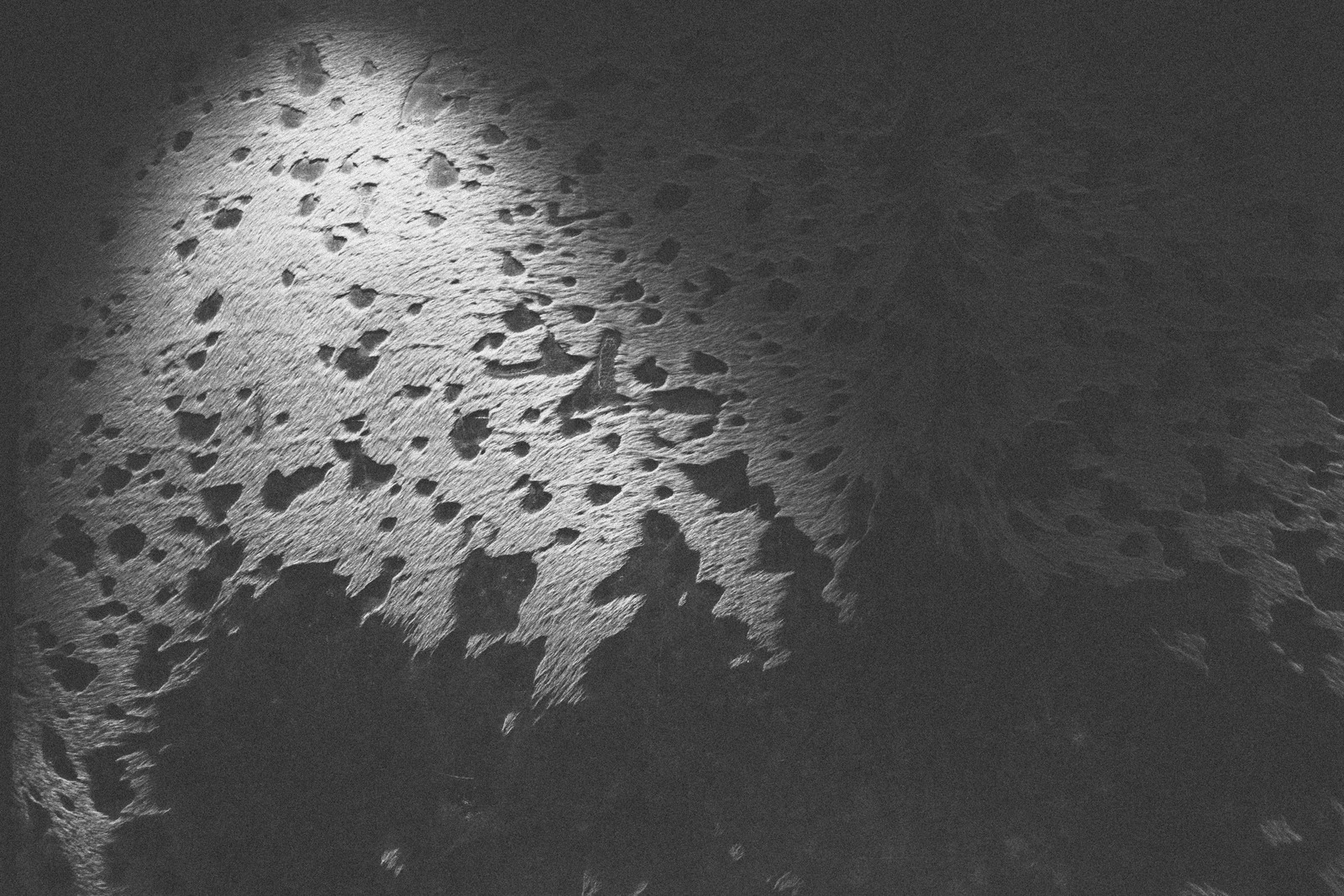 Ethereal Textures in Shadow