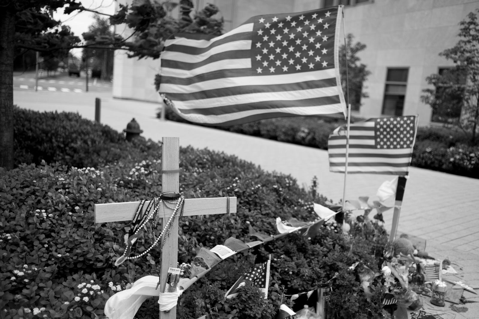 A Tribute in Shadows