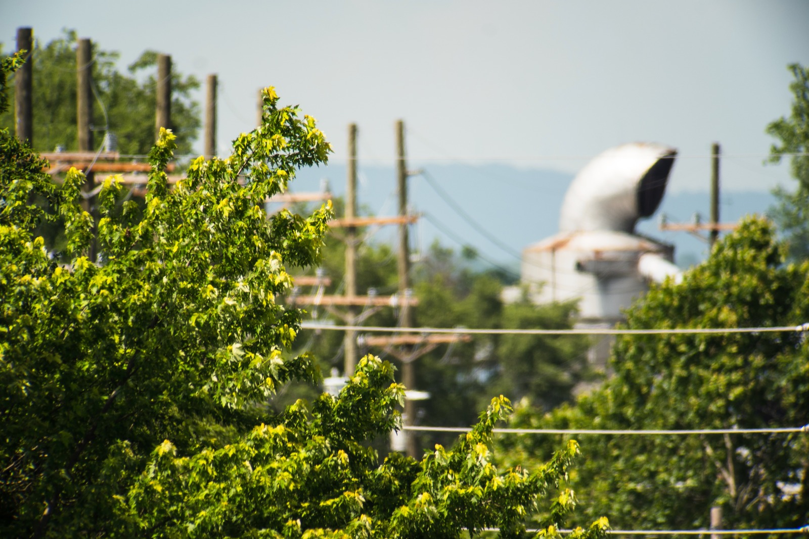 Urban Nature Interplay