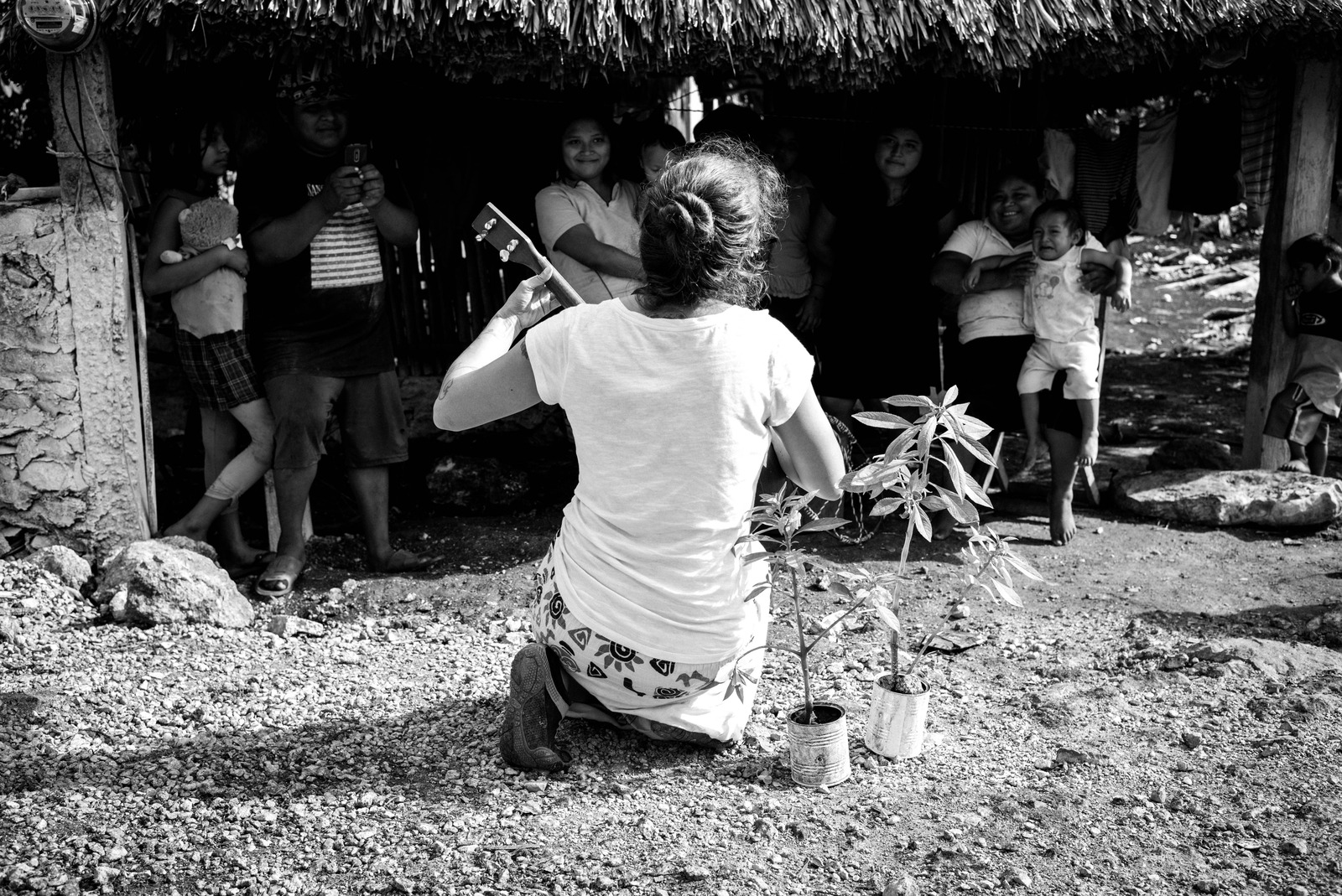 Harmony in Simplicity