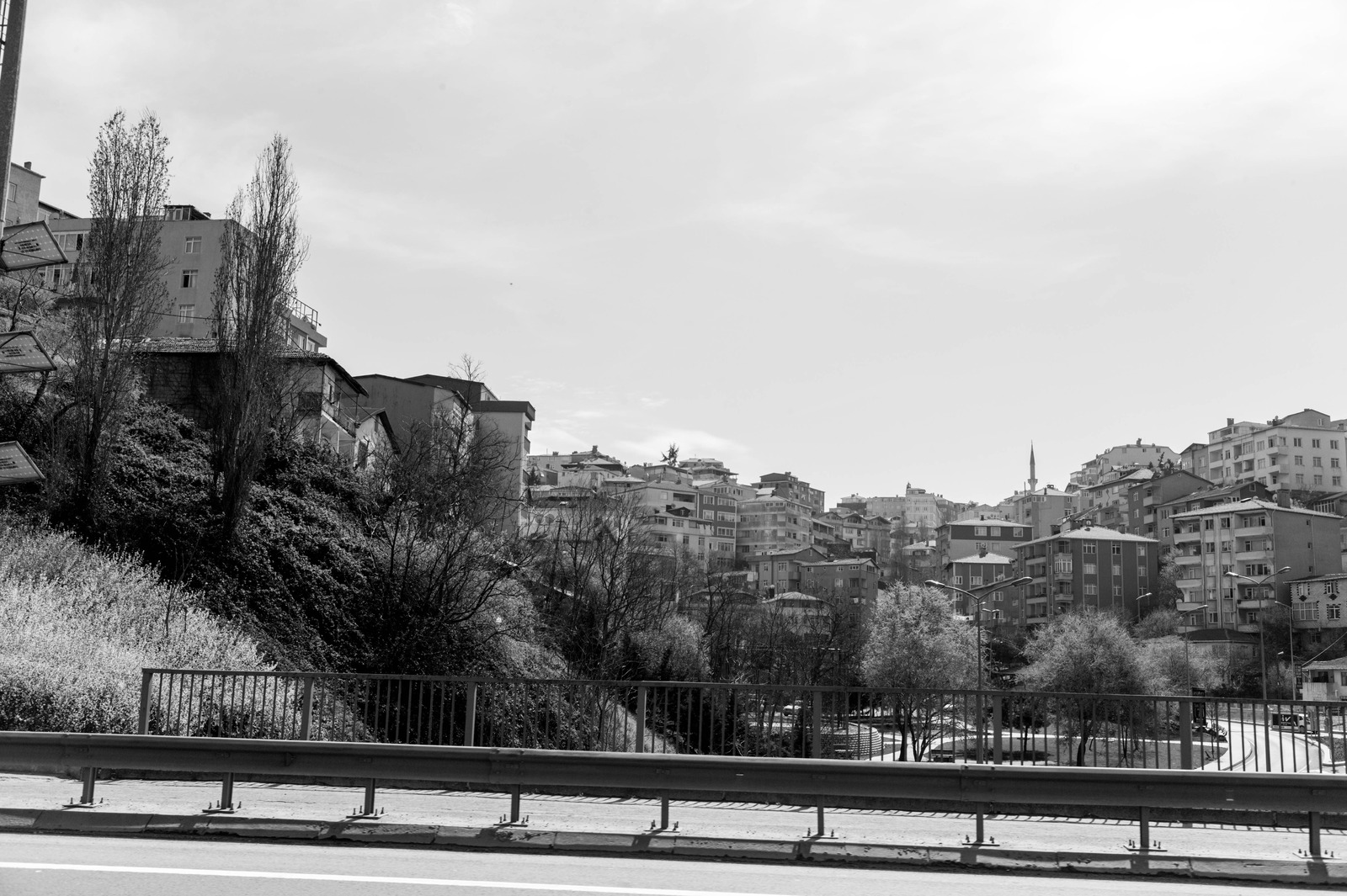 Urban Tranquility in Monochrome