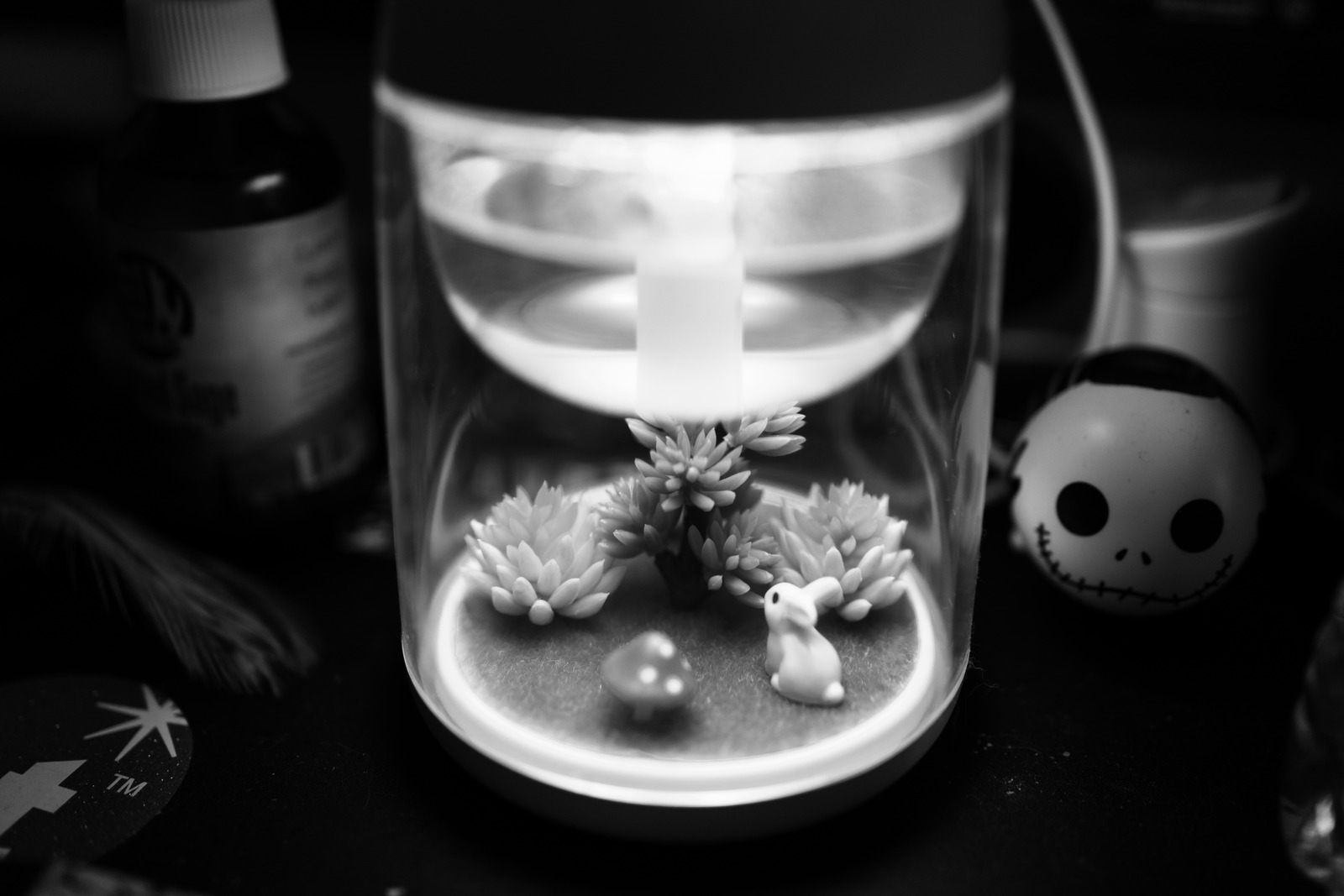 Whimsical Encapsulation