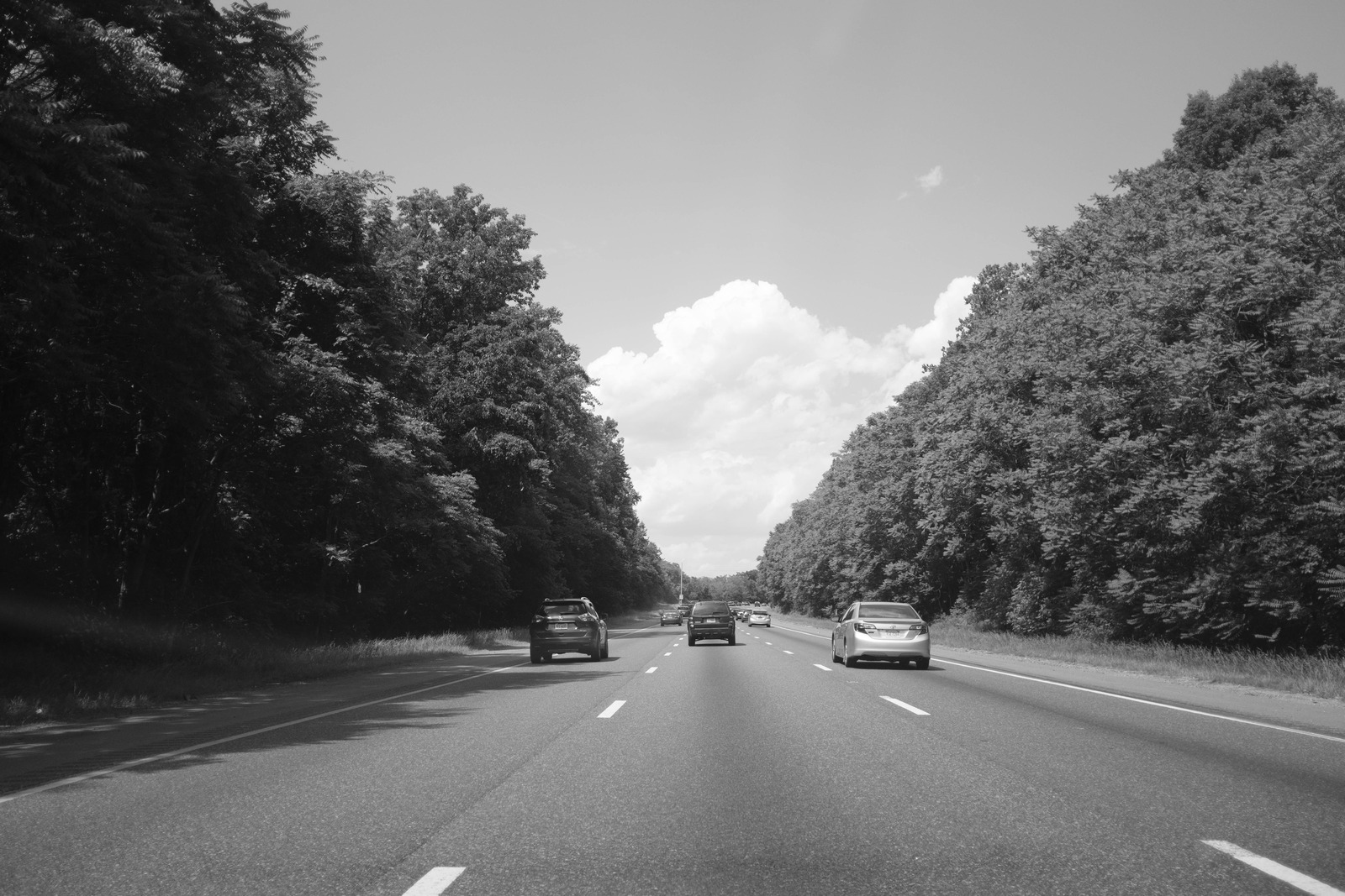 Journey through Shadows