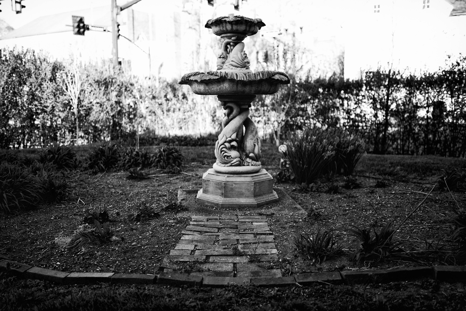 Whispers of a Forgotten Garden